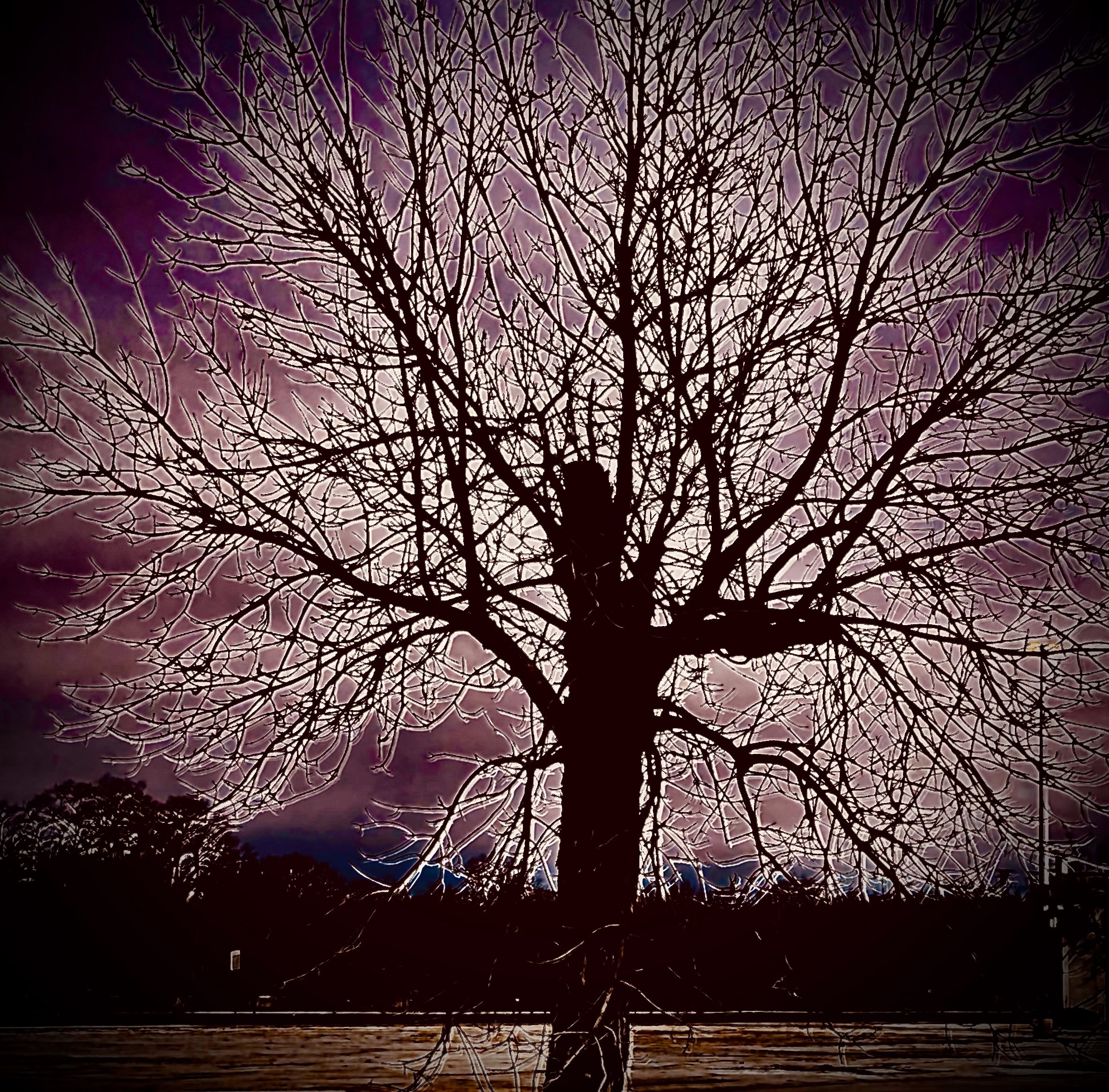 The Electrified Tree