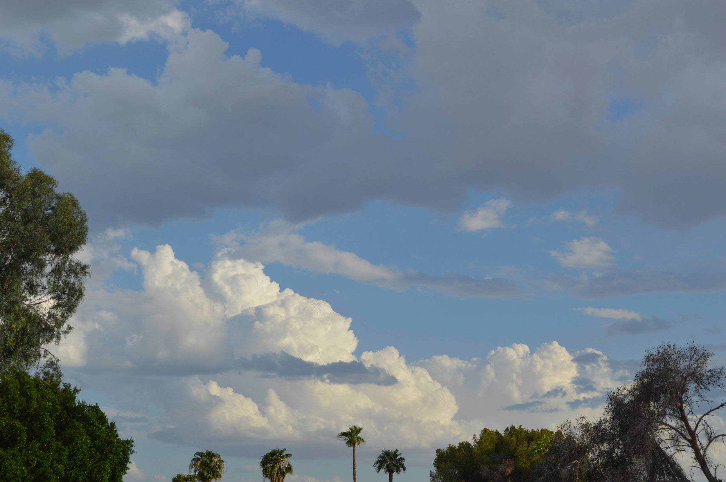 Arizona Sky