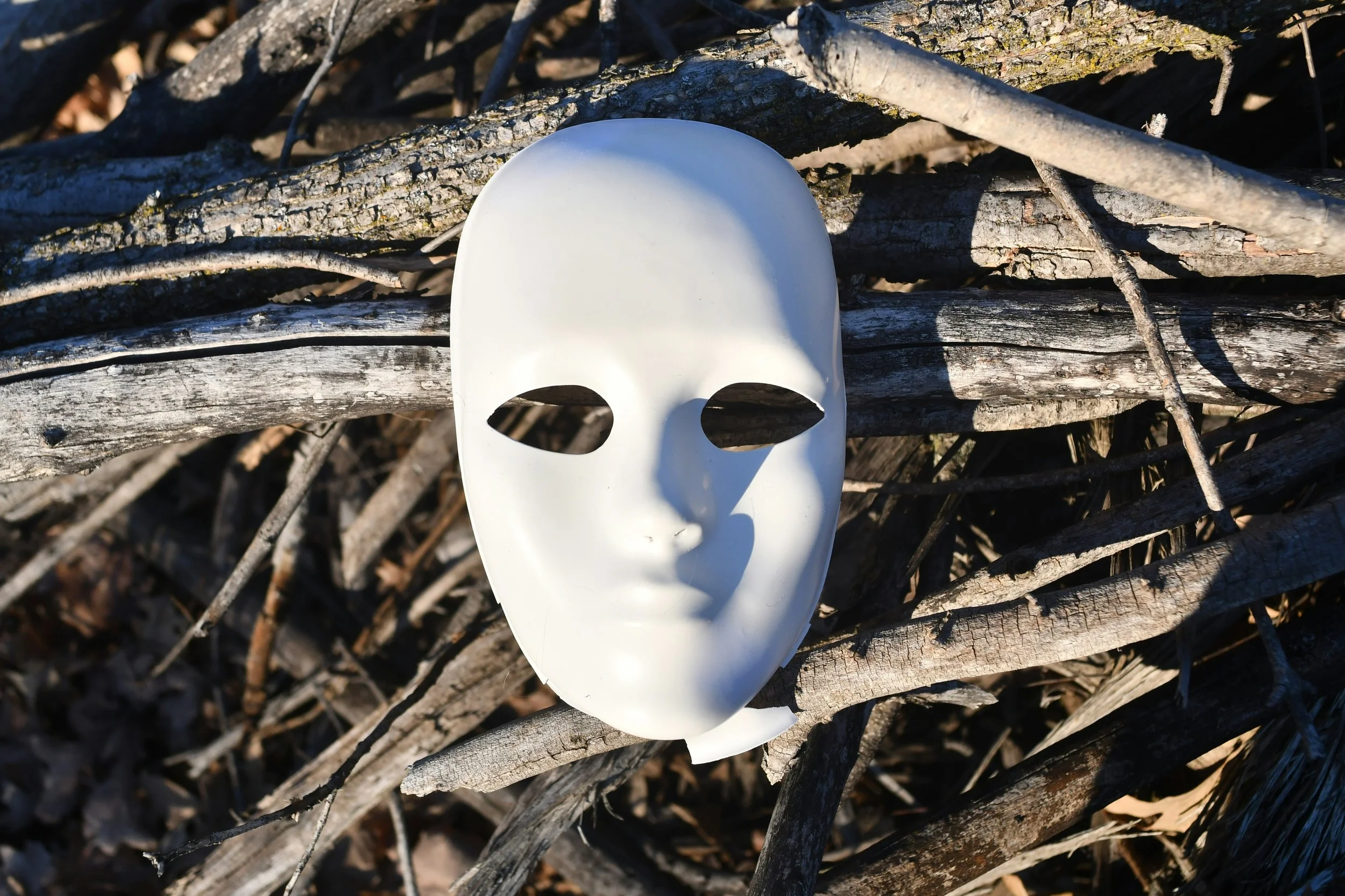 A white mask with hollow eyes and a neutral expression resting on a pile of weathered, fallen tree branches.