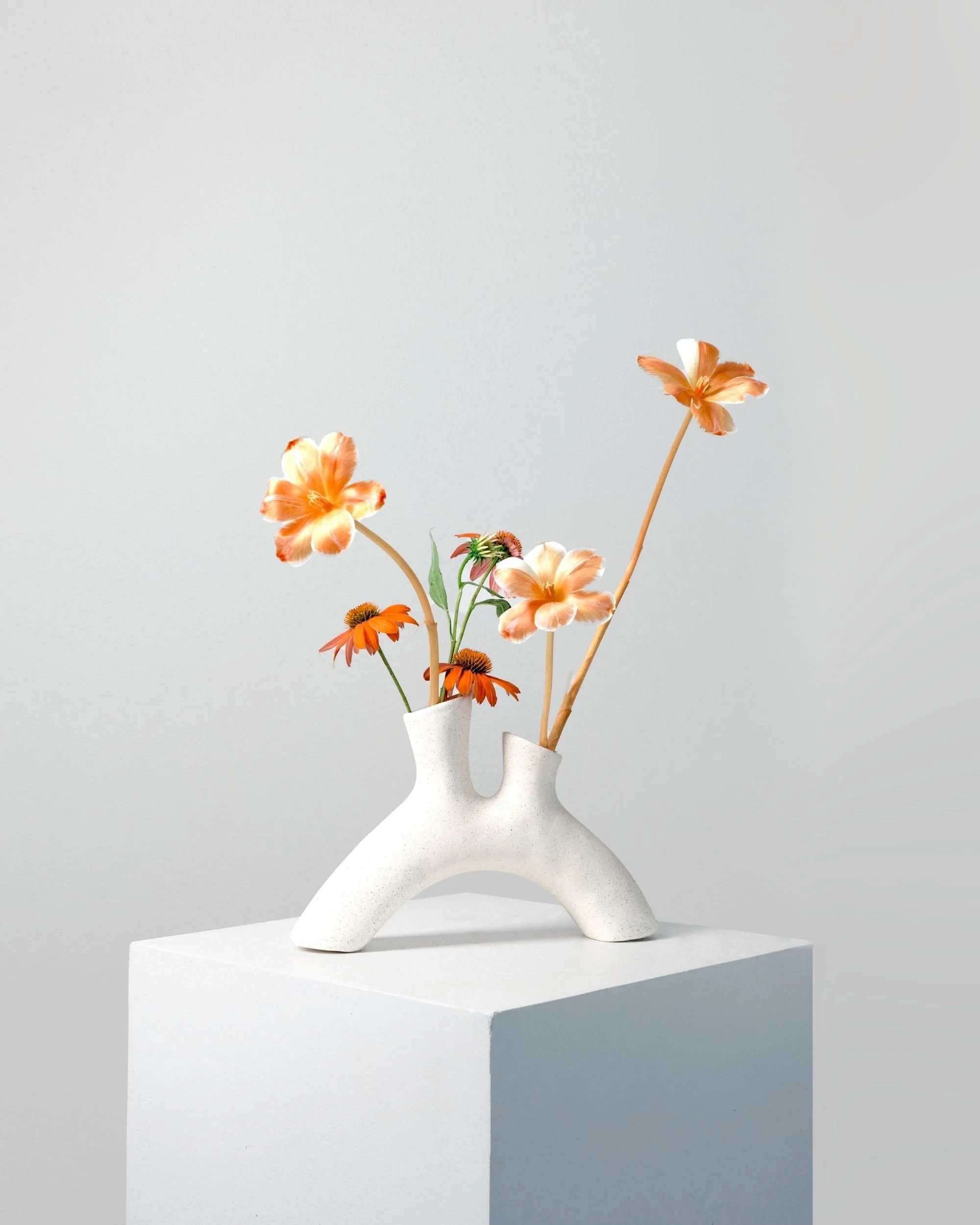 Untitled design (31).jpg