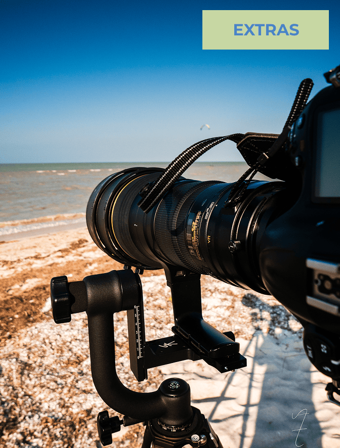 SESIÓN DE FOTOGRAFÍAS