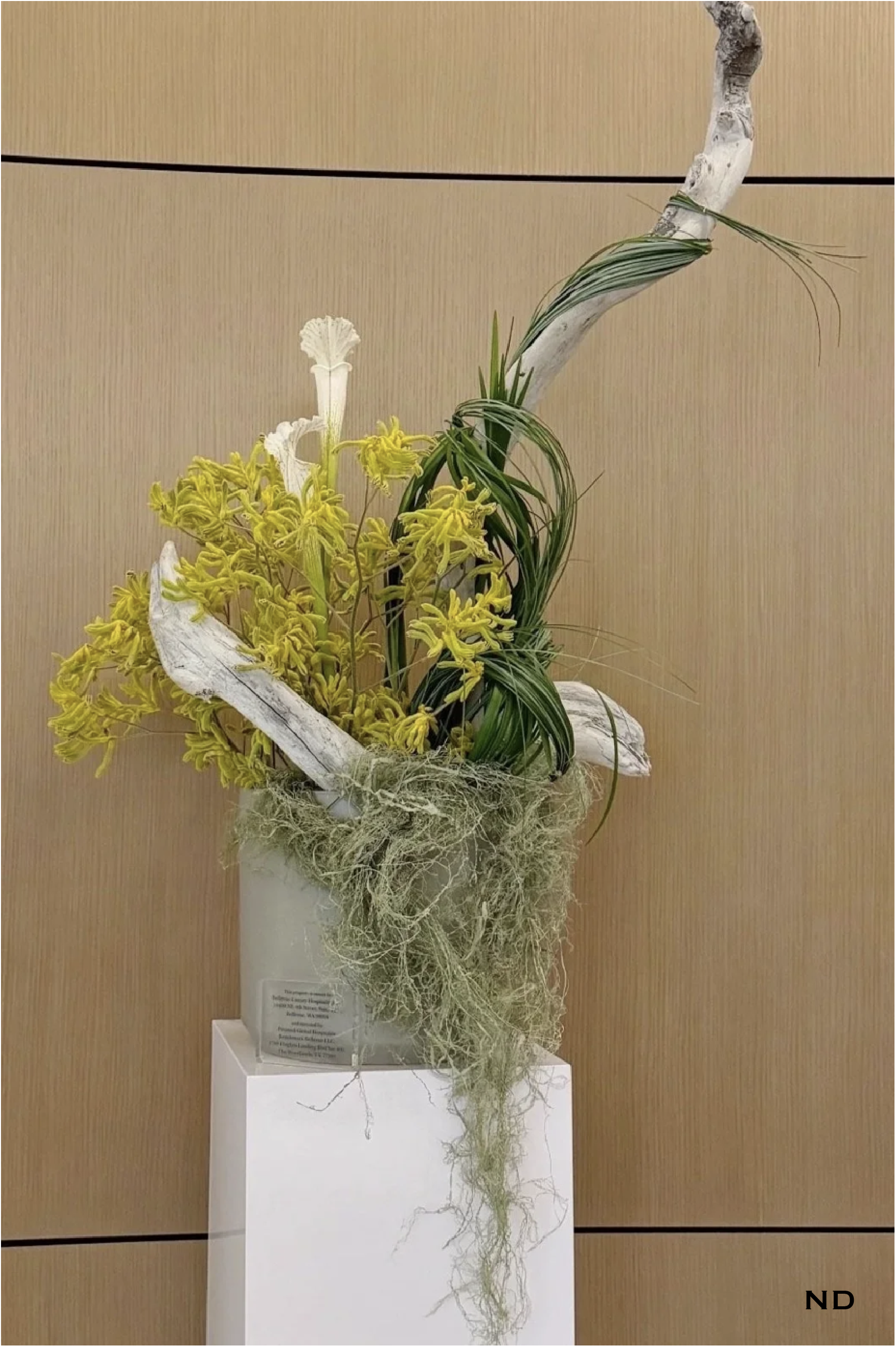 Georgia Photos w Nadira watermark-15.png