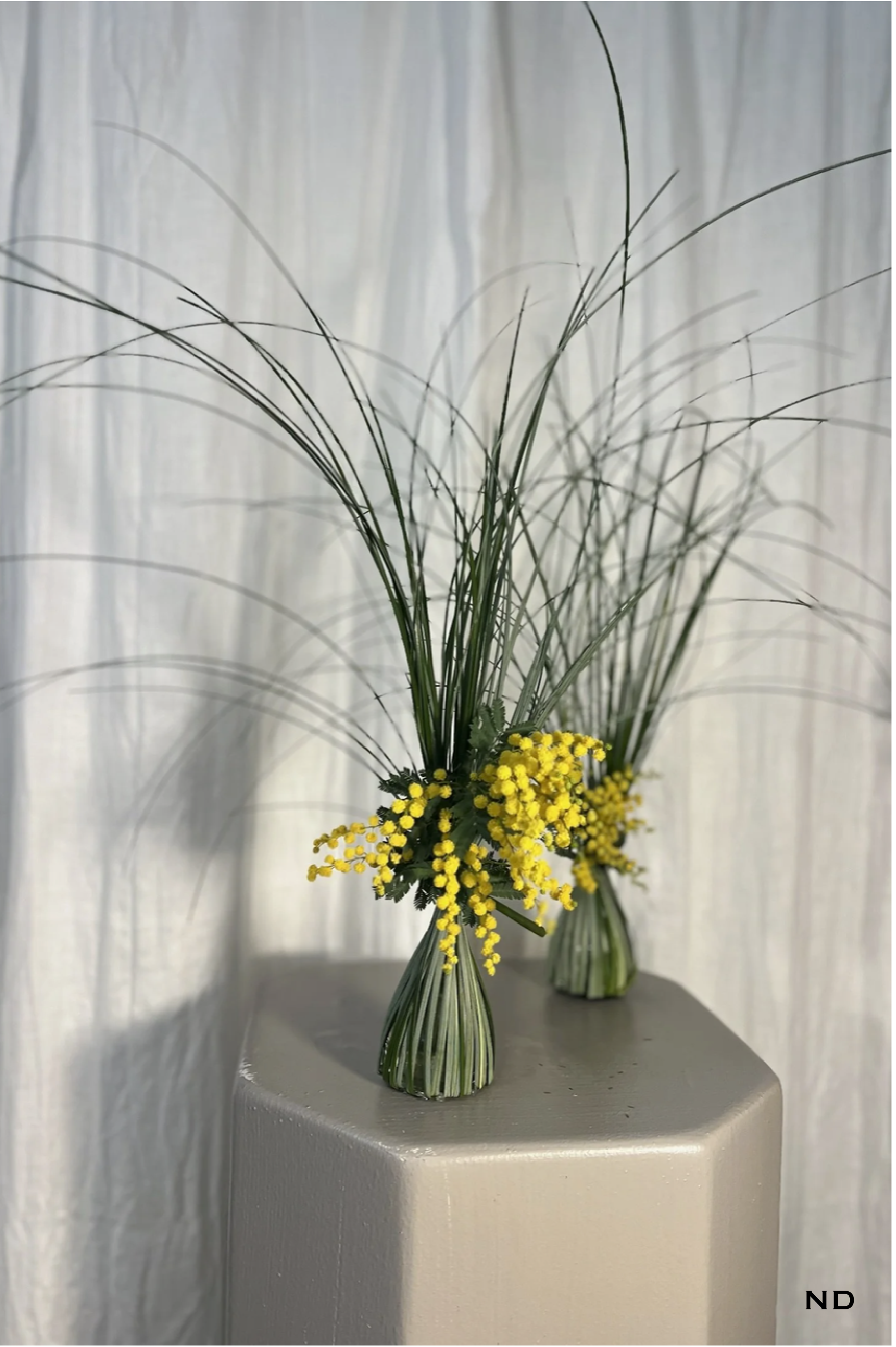 Georgia Photos w Nadira watermark-21.png