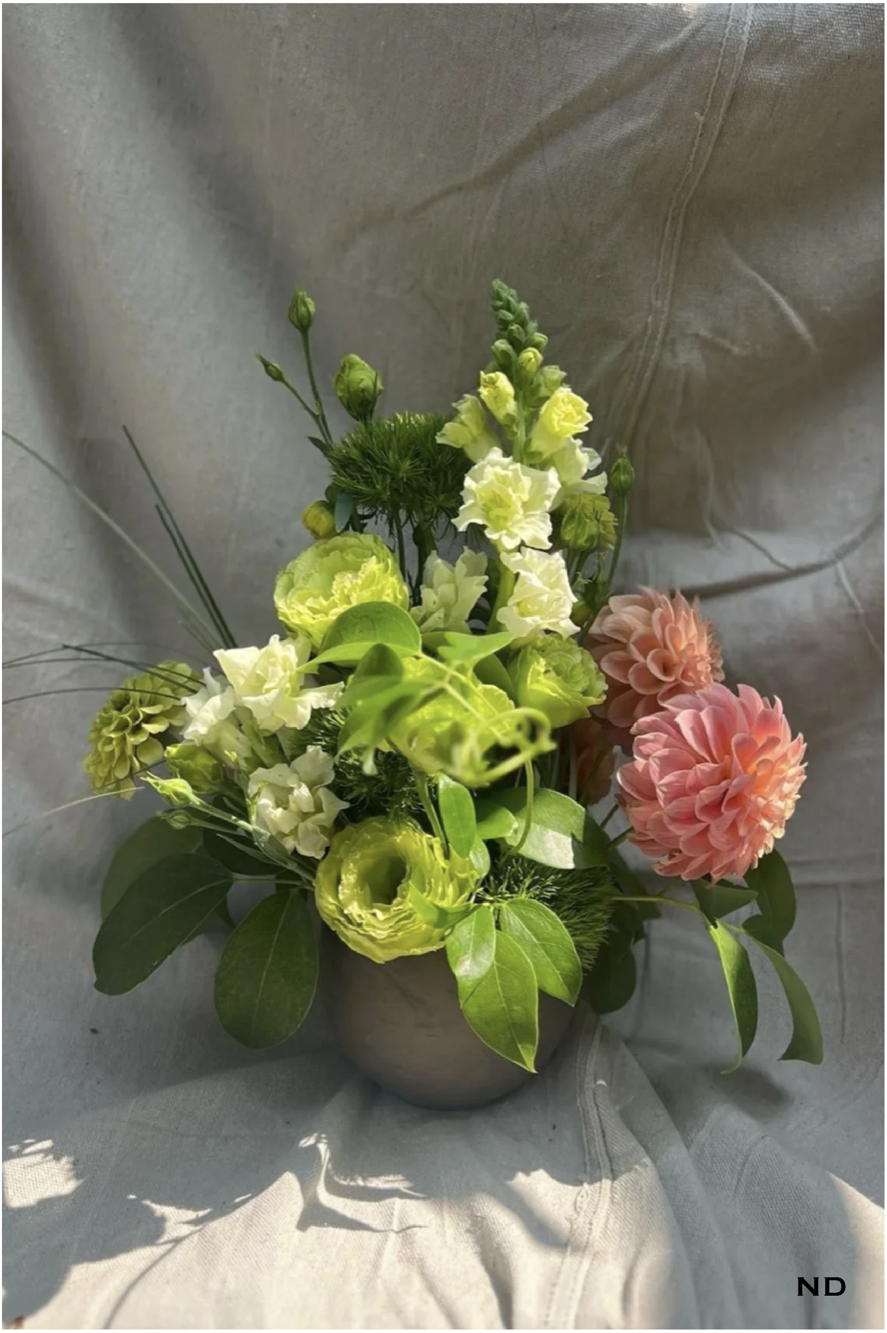 Georgia Photos w Nadira watermark-02.png