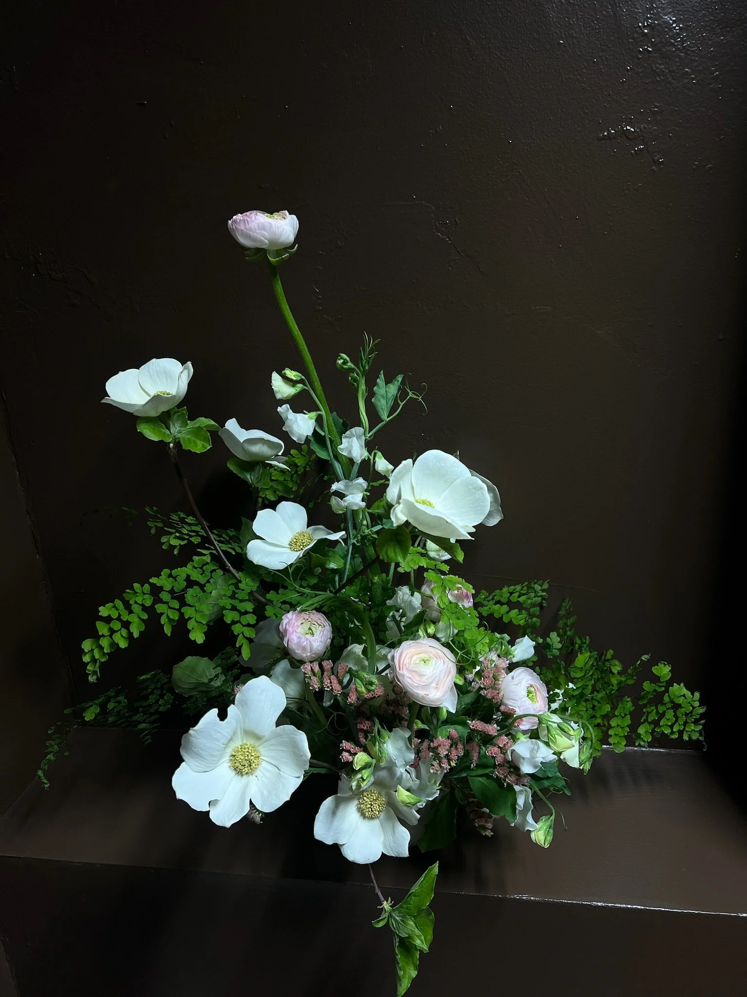 IMG_4882.jpeg