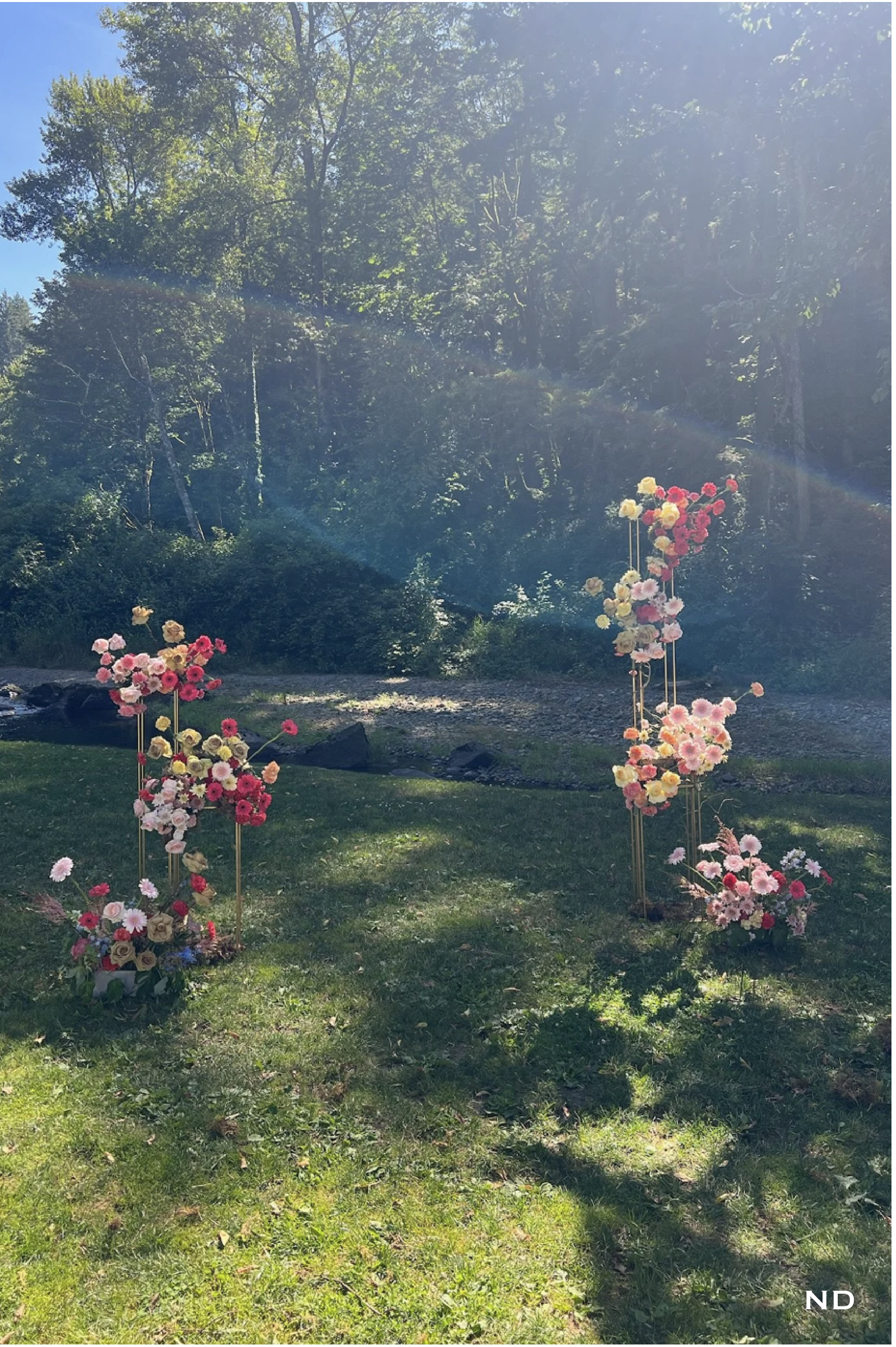 Georgia Photos w Nadira watermark-09.png