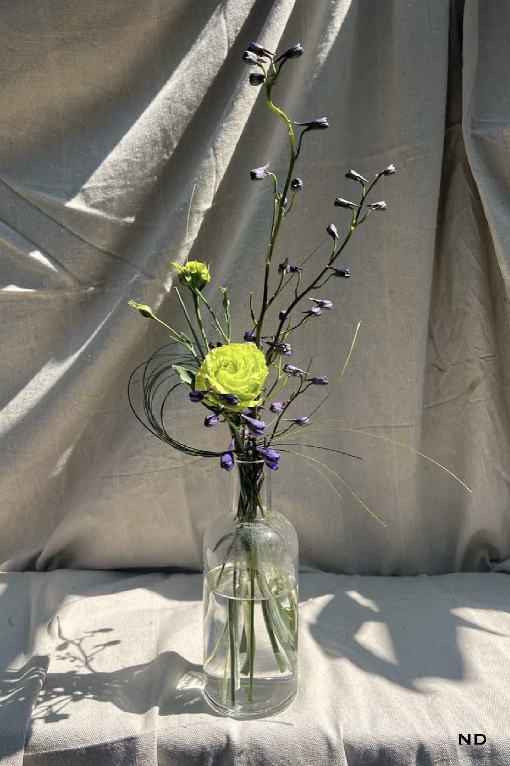 Georgia Photos w Nadira watermark-01.png