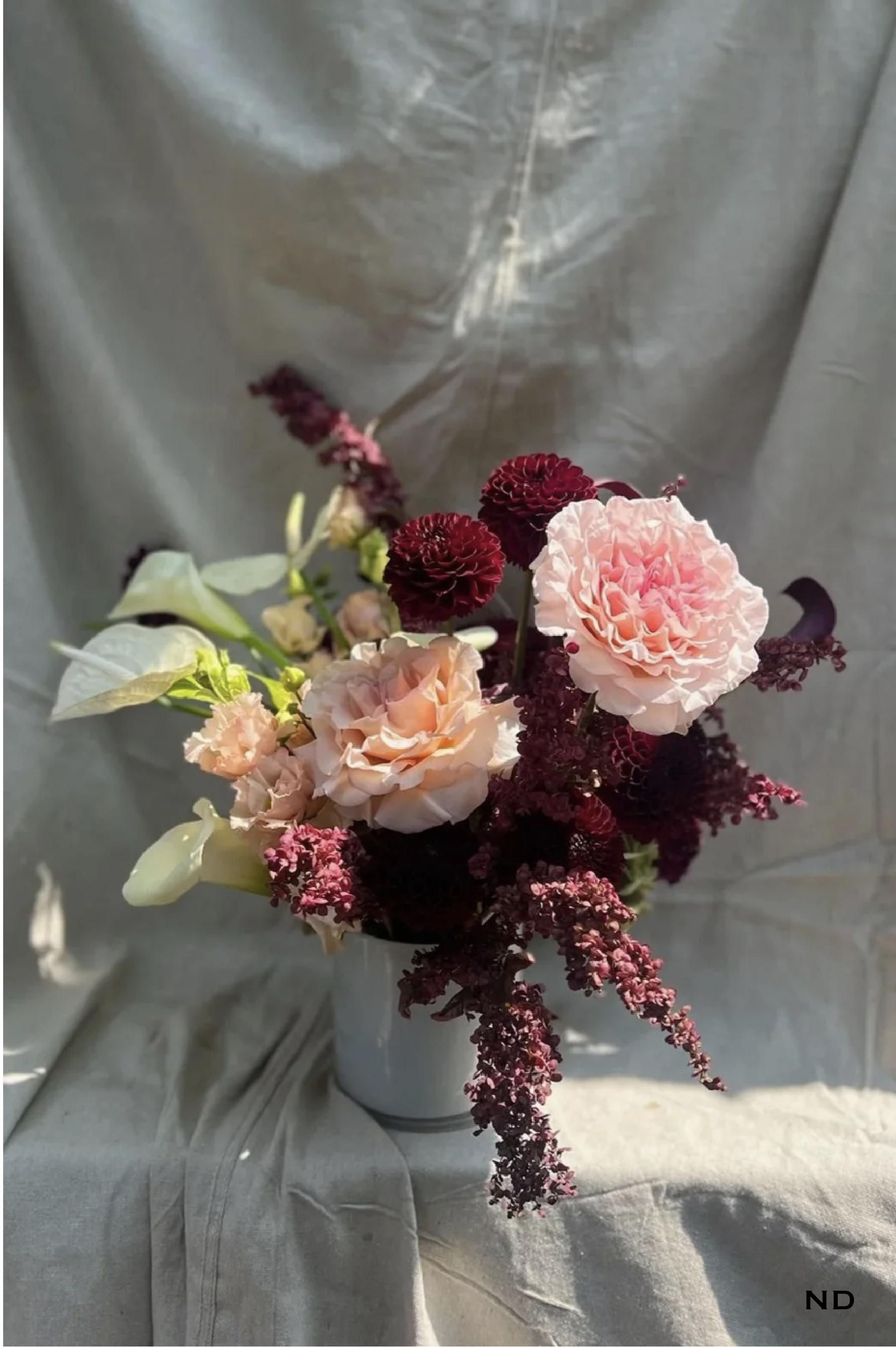 Georgia Photos w Nadira watermark-22.png