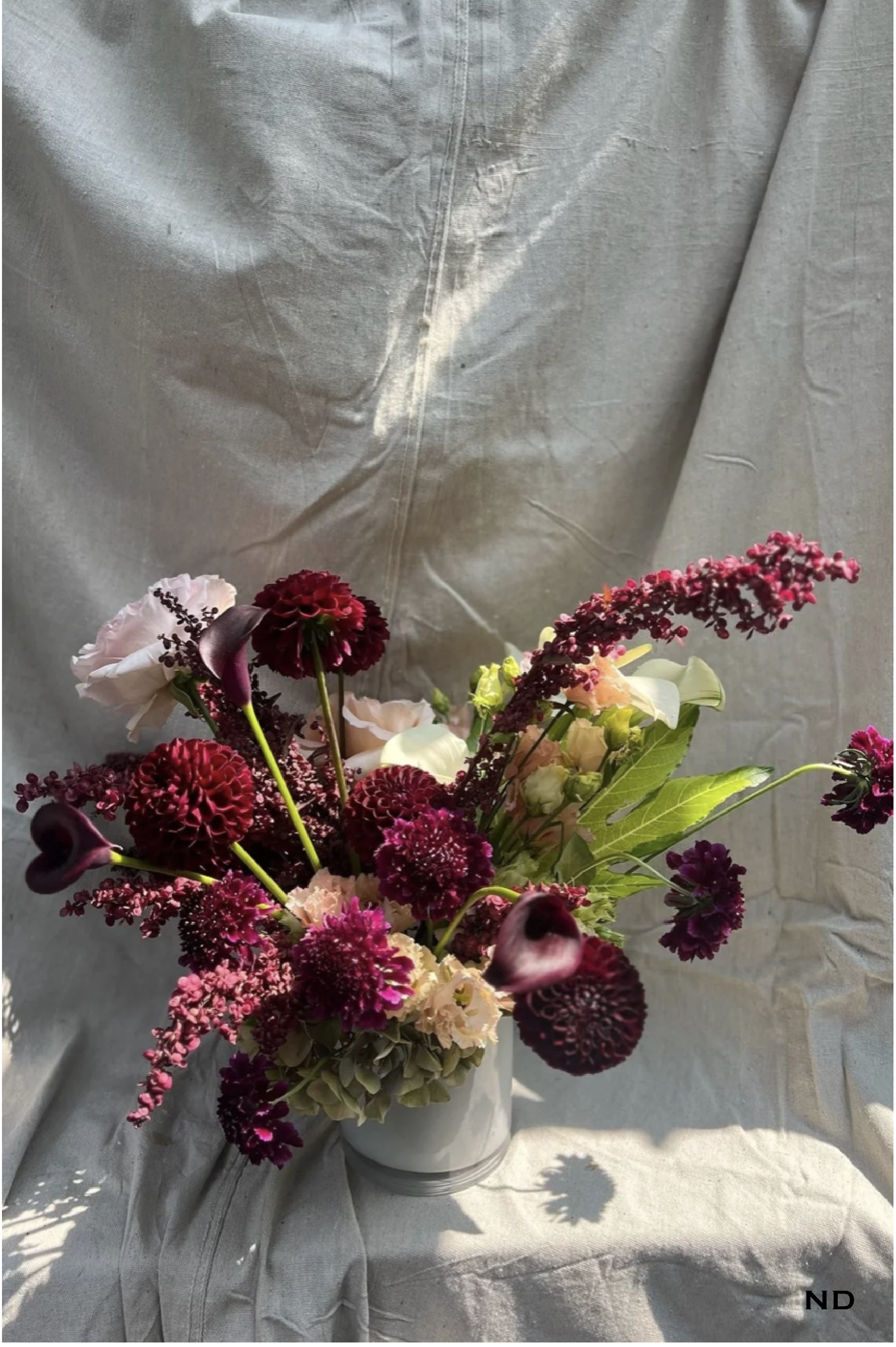 Georgia Photos w Nadira watermark-13.png