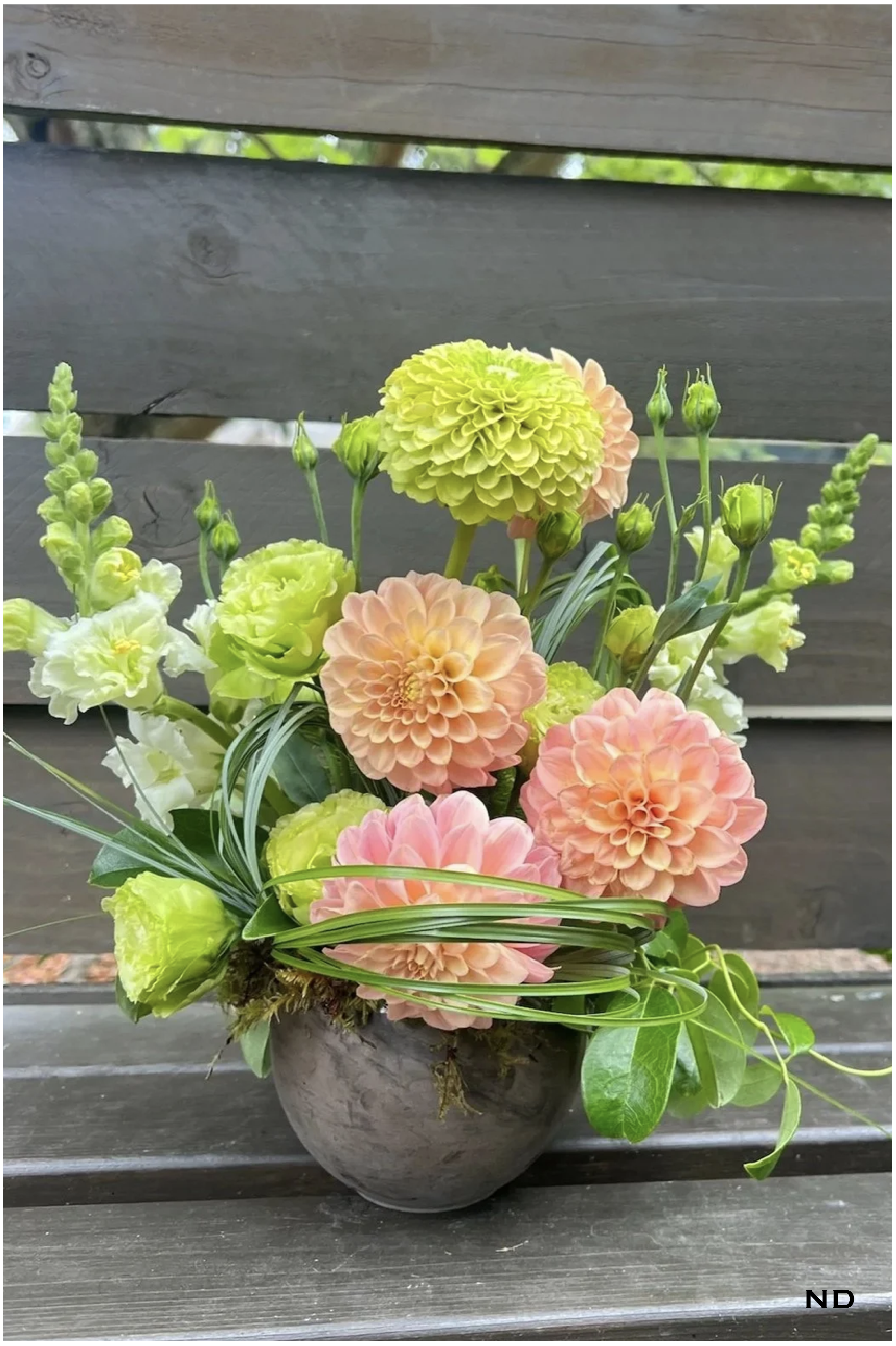 Georgia Photos w Nadira watermark-08.png