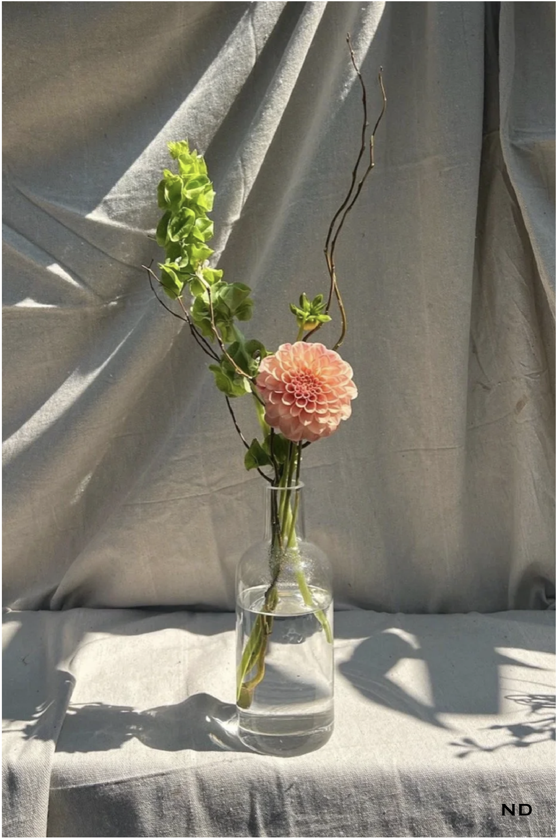 Georgia Photos w Nadira watermark-17.png