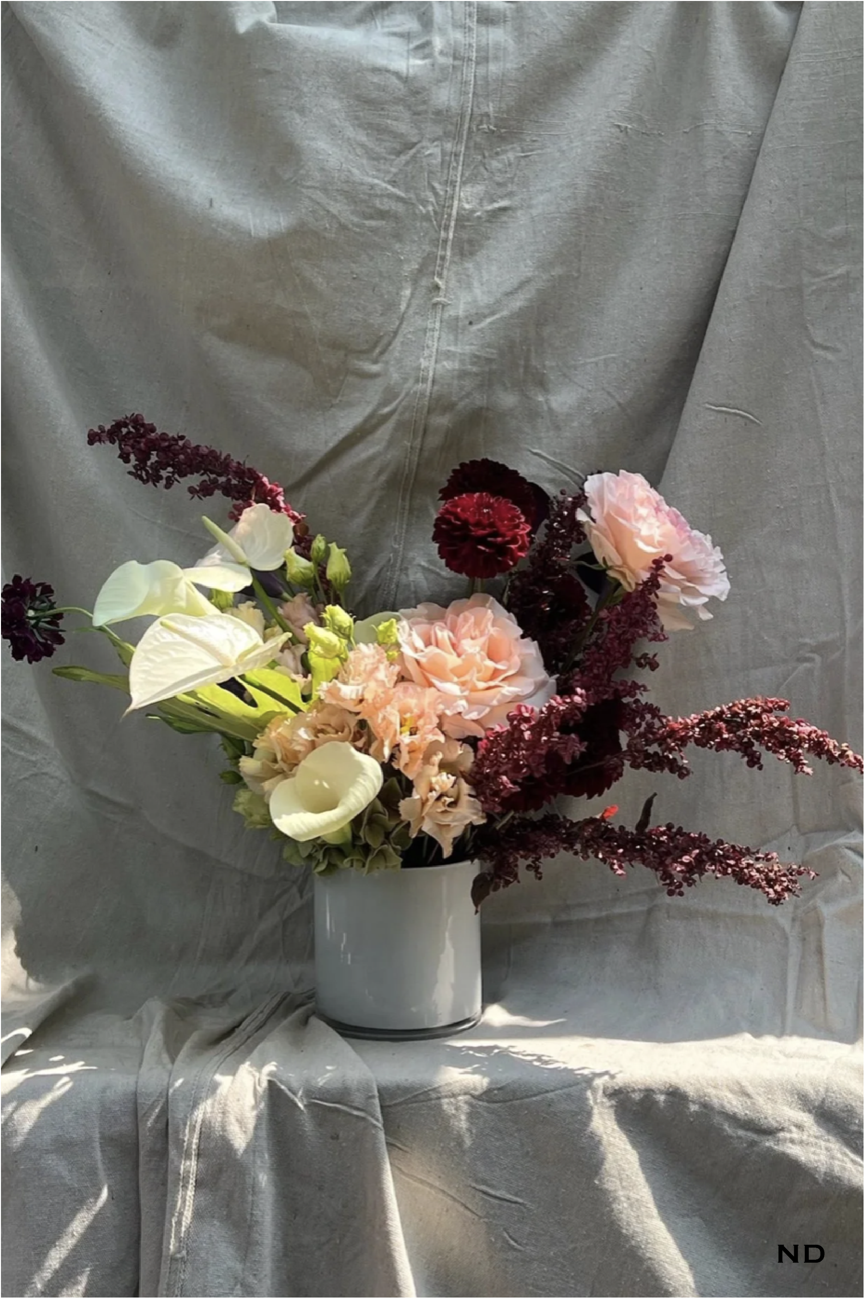 Georgia Photos w Nadira watermark-05.png