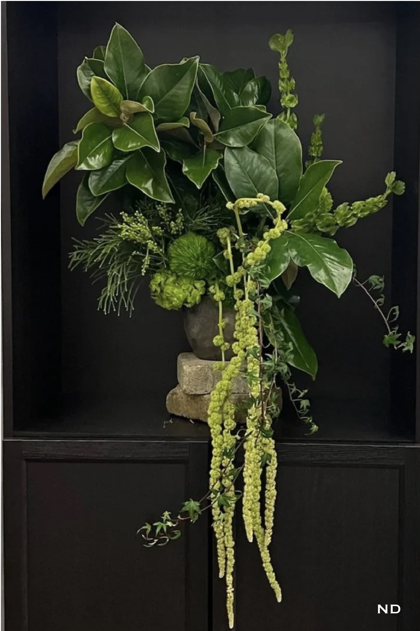 Georgia Photos w Nadira watermark-23.png