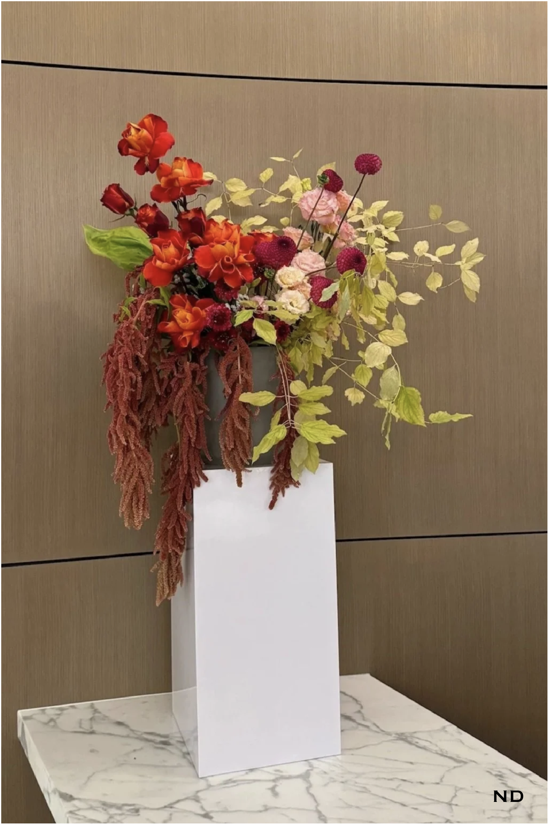 Georgia Photos w Nadira watermark-20.png