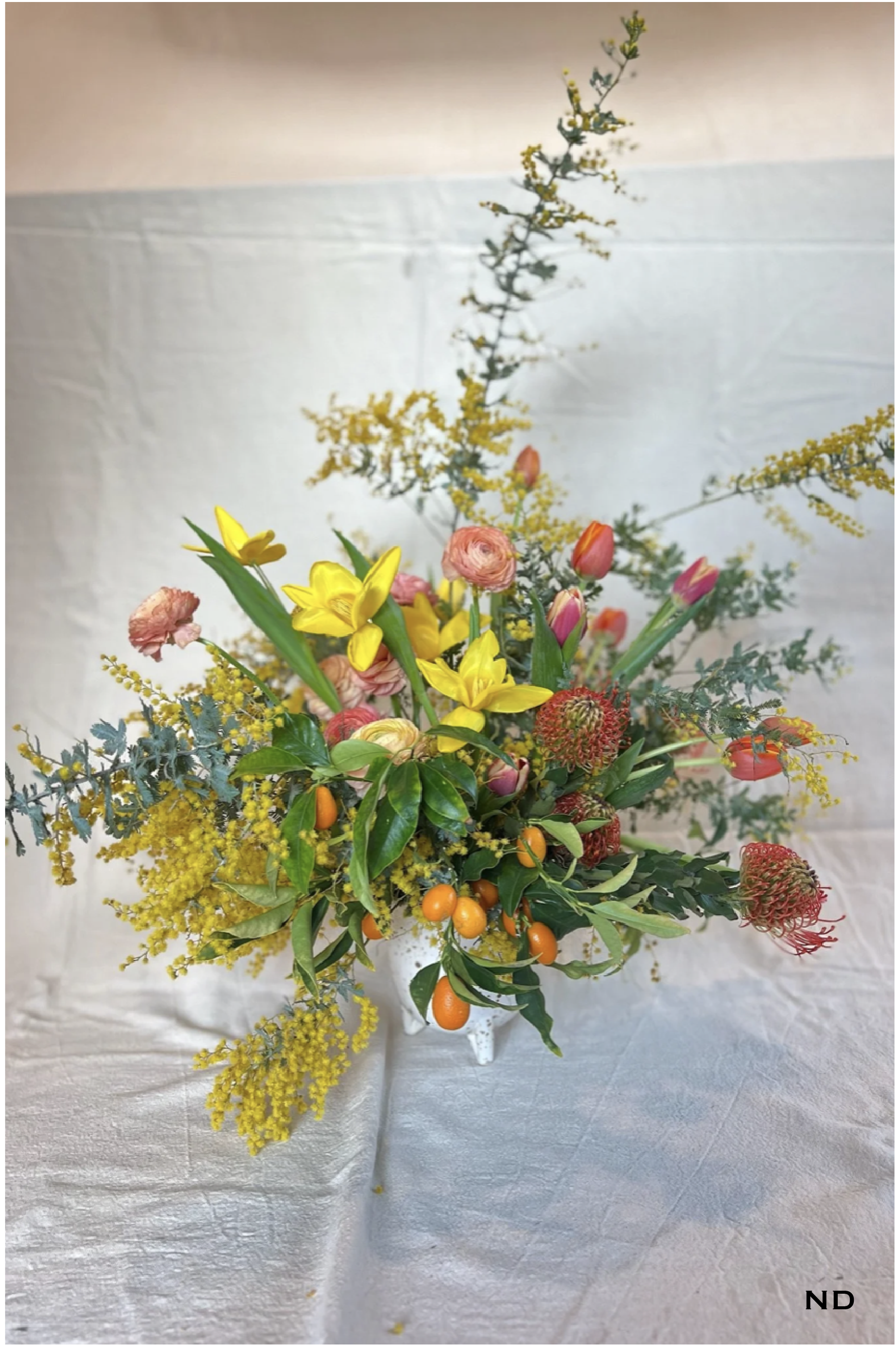 Georgia Photos w Nadira watermark-16.png