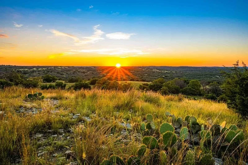 Sunset over a semi-arid landscape with grasses, cacti, and sparse trees.