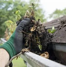 Person wearing a green glove pulling dirt and roots from a gutter on a house roof.