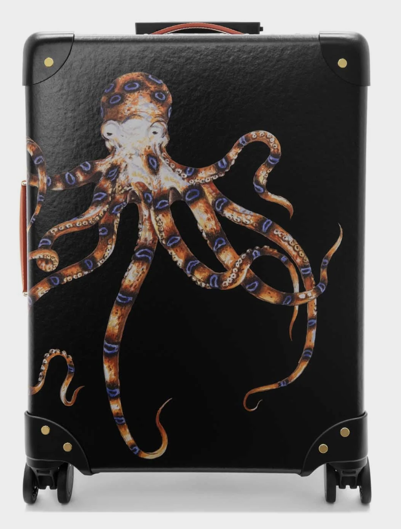 Screenshot 2026-01-04 at 8.00.41 PM.png