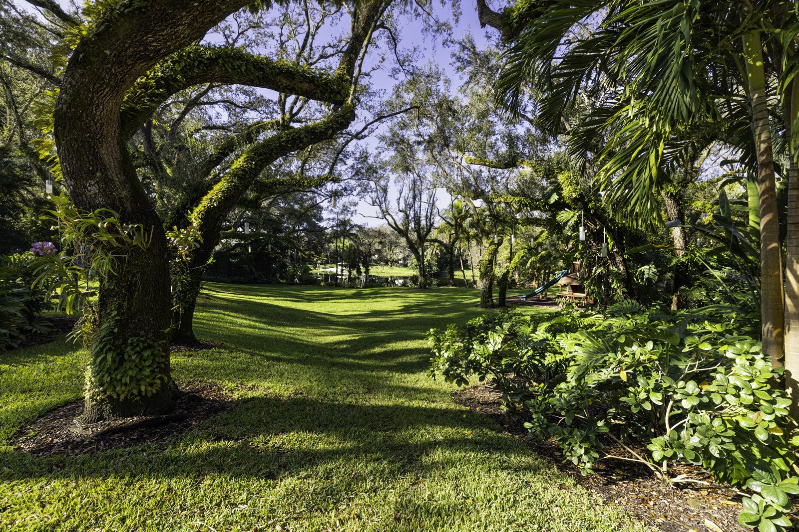 A lush backyard with a large moss-covered tree, green grass, and various tropical plants and trees. There is a small playground slide in the background and a pond or water feature reflecting sunlight.