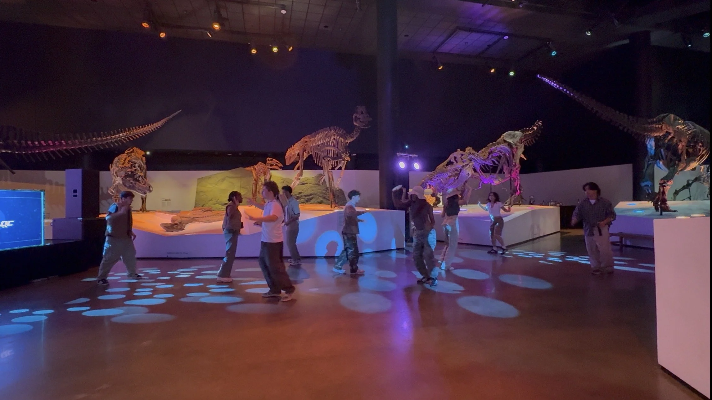 Museum exhibit with large dinosaur skeletons displayed on white platforms, dim lighting, and visitors walking and observing the display.