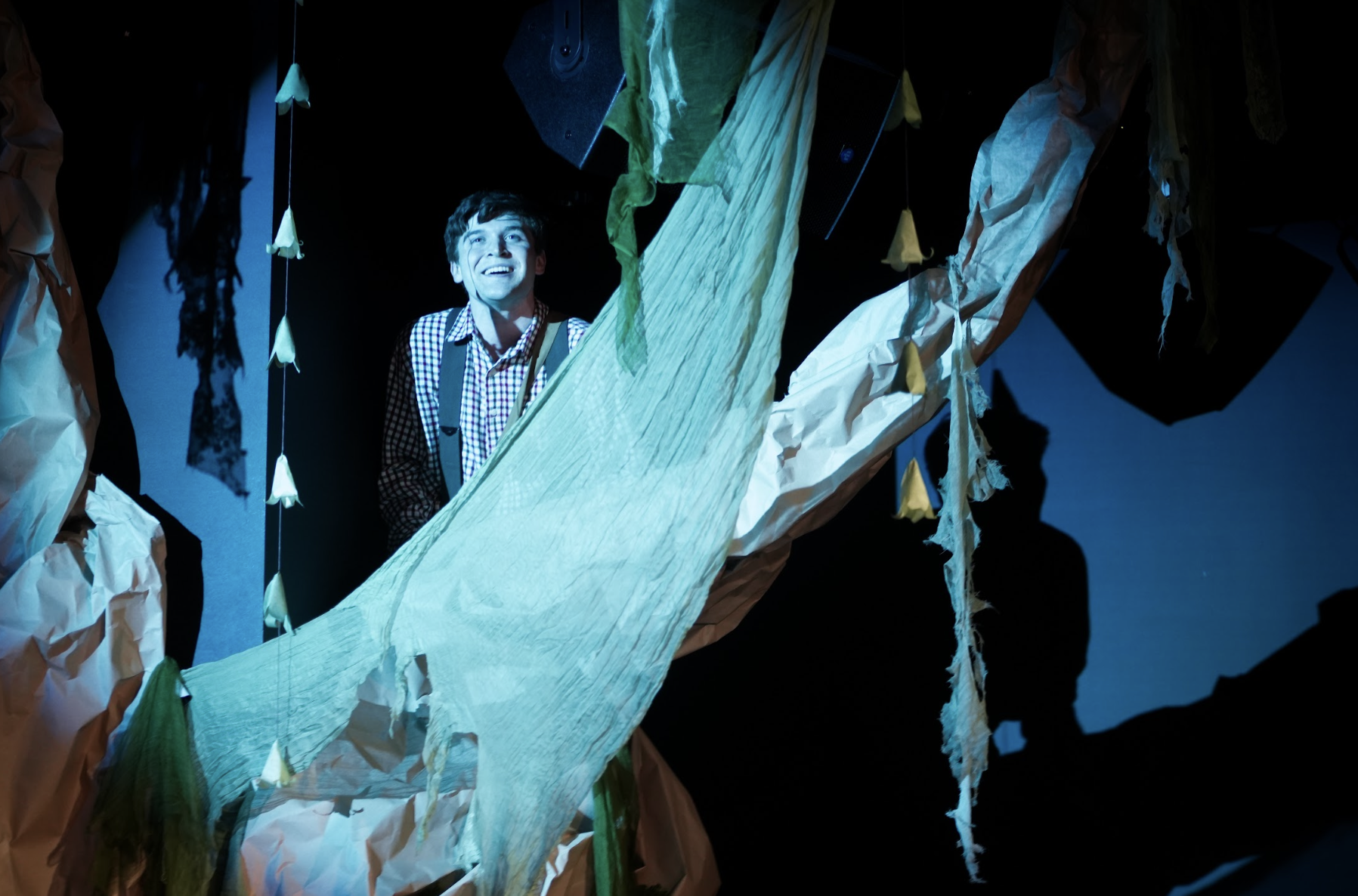 Let's see if this tree has a view