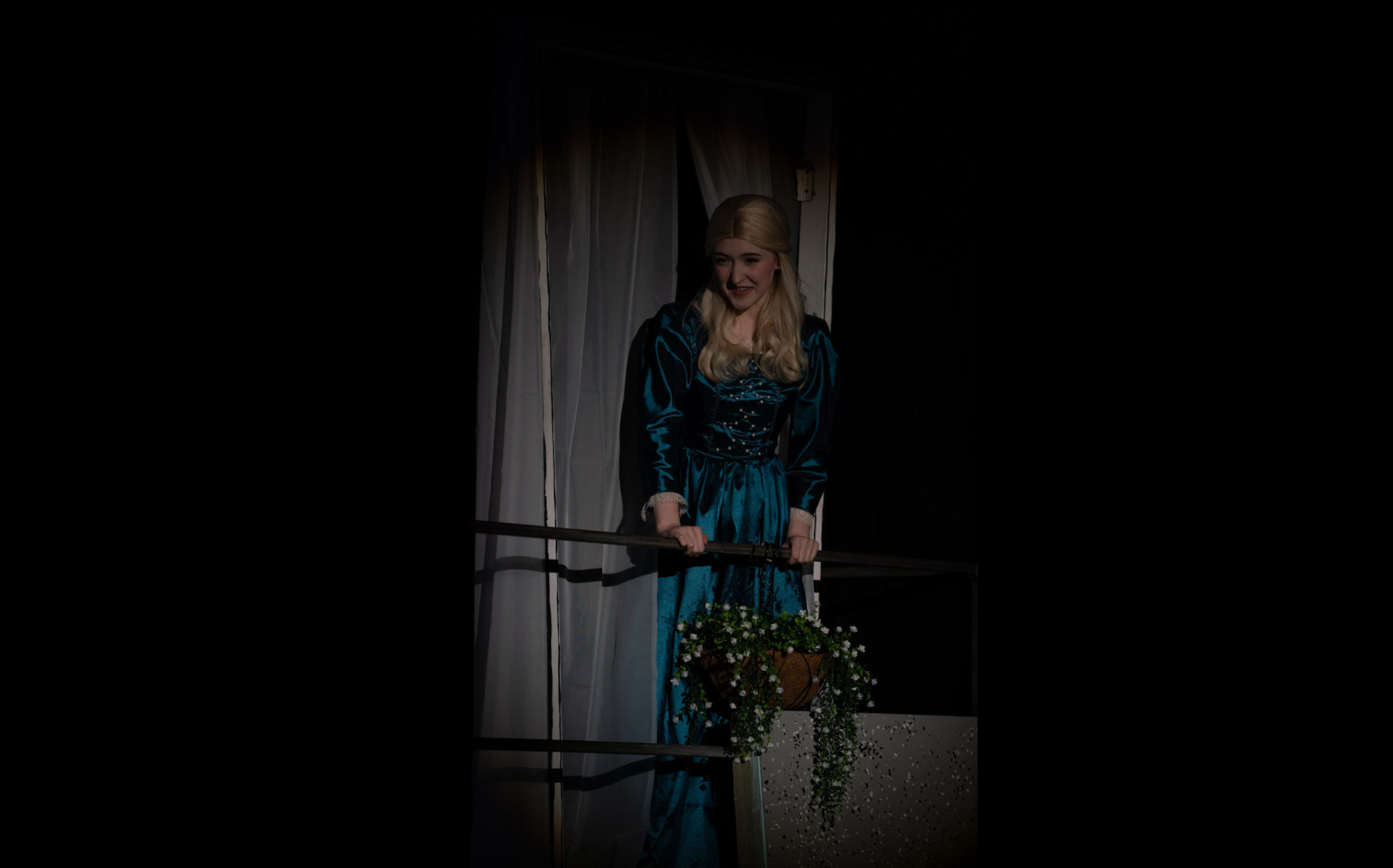 Green Finch and Linnet Bird