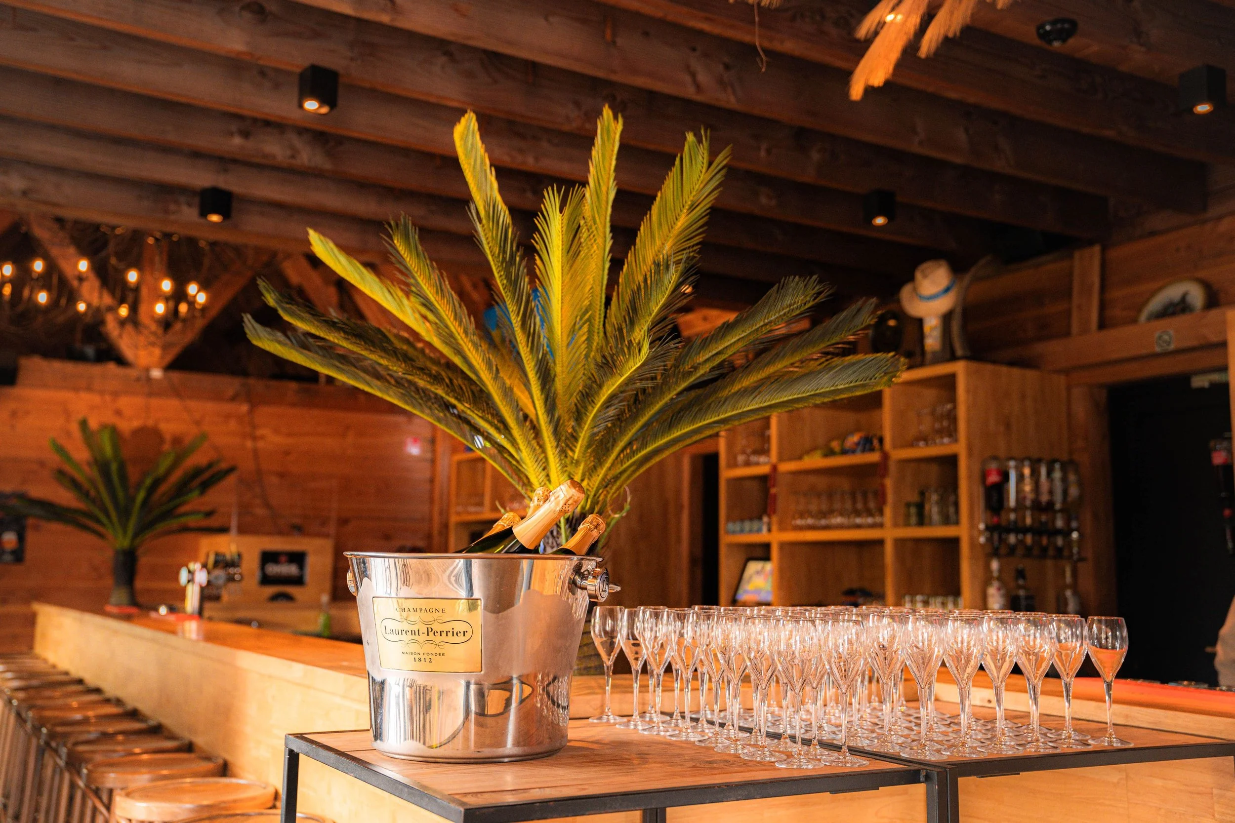 Een bar met een champagnekoeler met een grote palmplant en lege glazen. De bar is van hout en heeft een warme, gezellige sfeer.