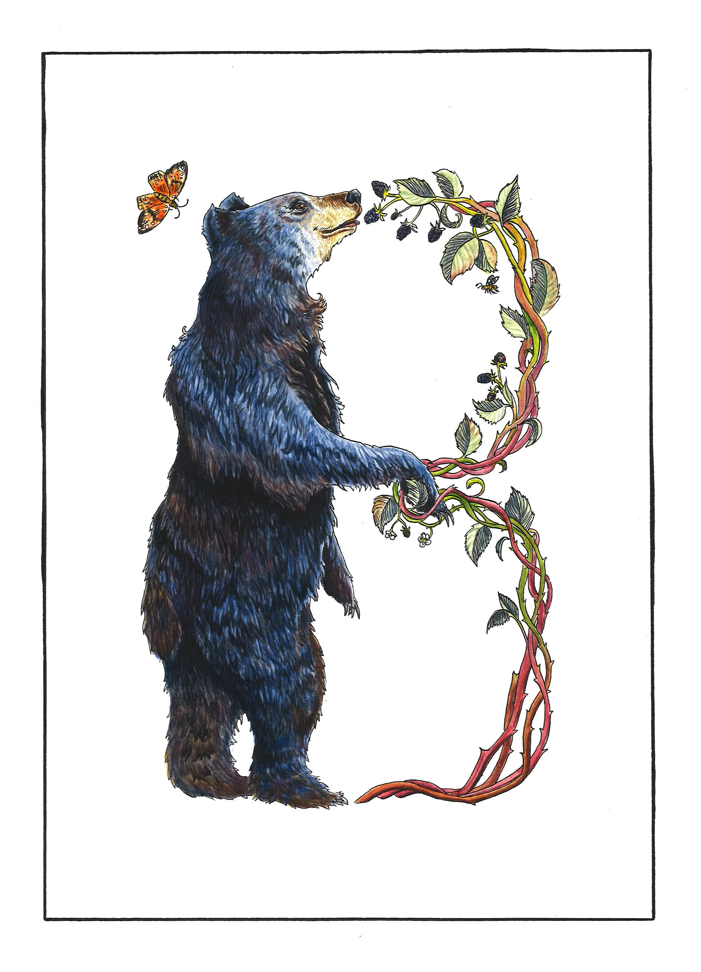 Animal Alphabet