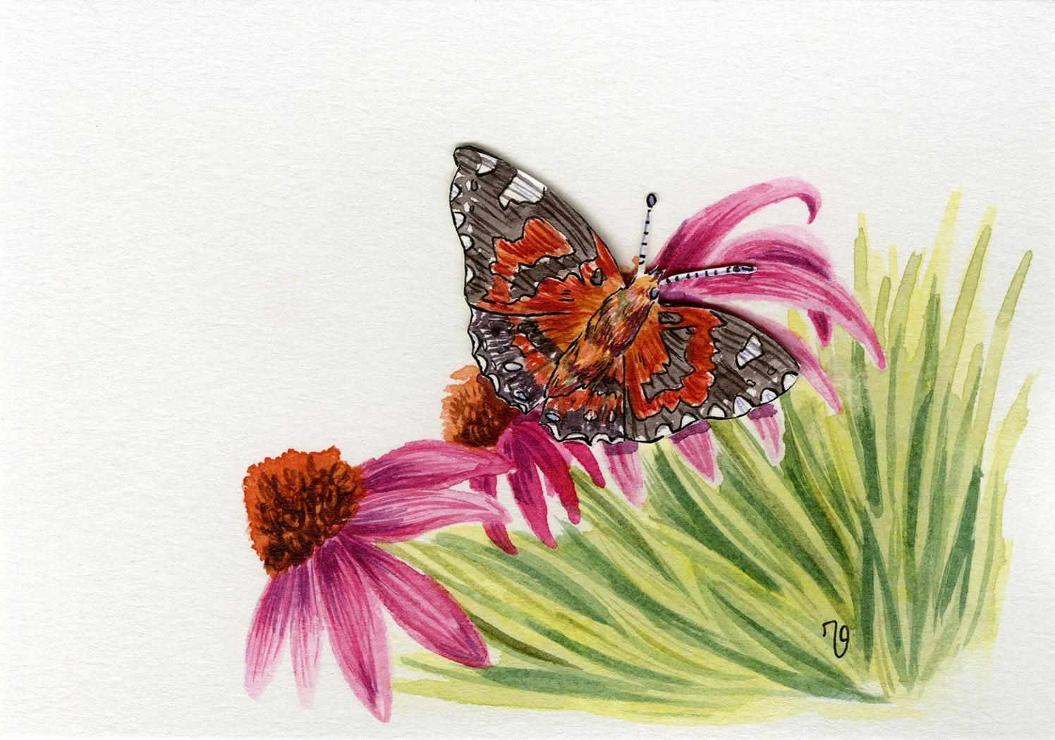 Painted Lady
