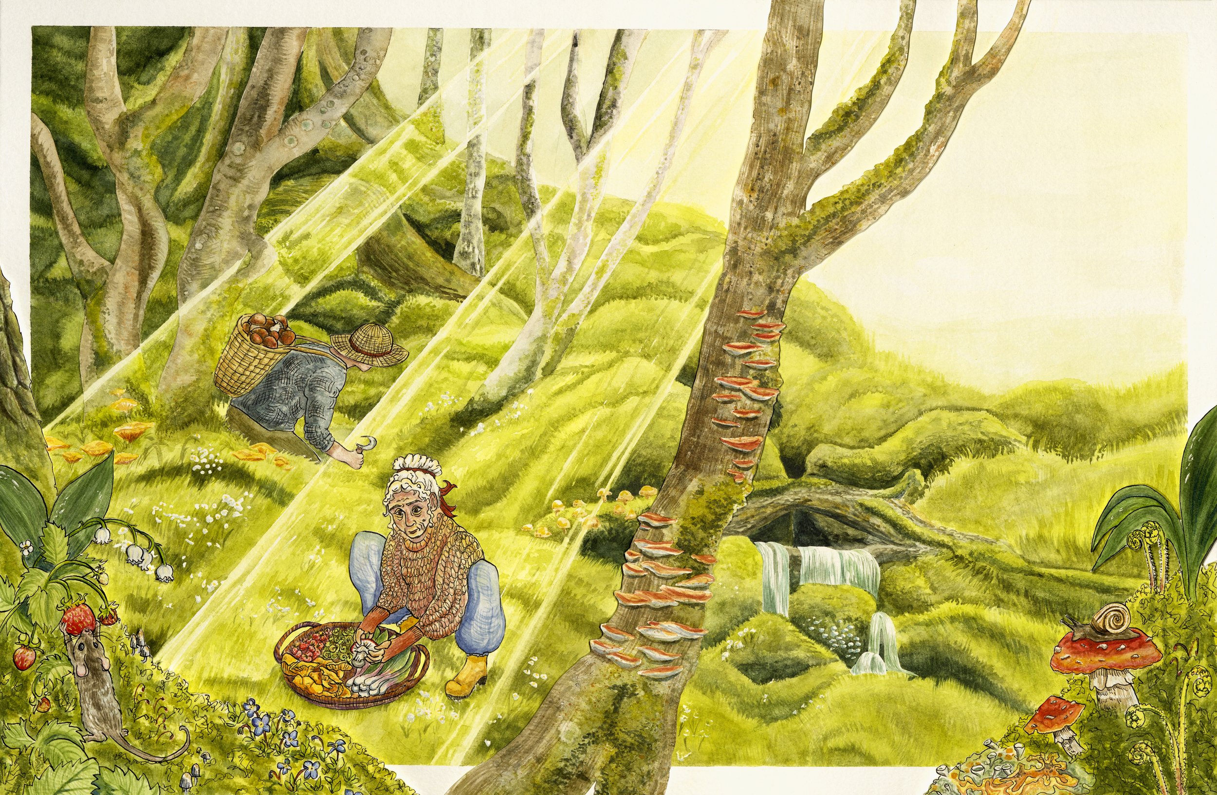 Forest Forage