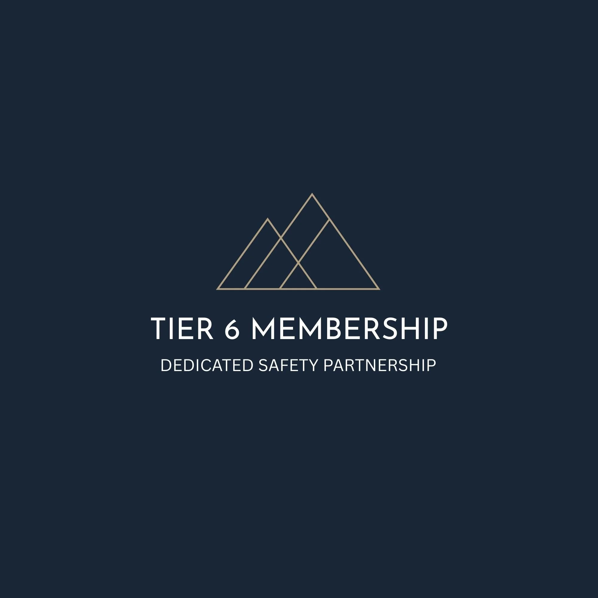 Tier 6: Dedicated Safety Partnership