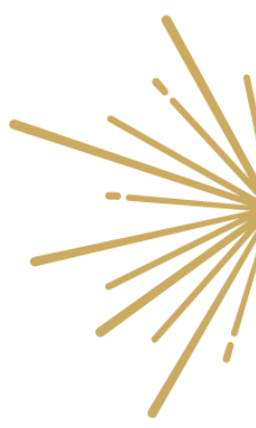 Golden firework explosion on a black background
