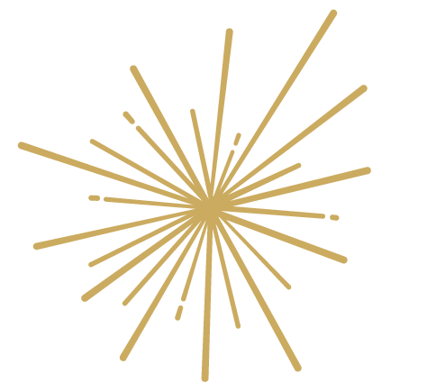 Gold firework explosion against a black background.
