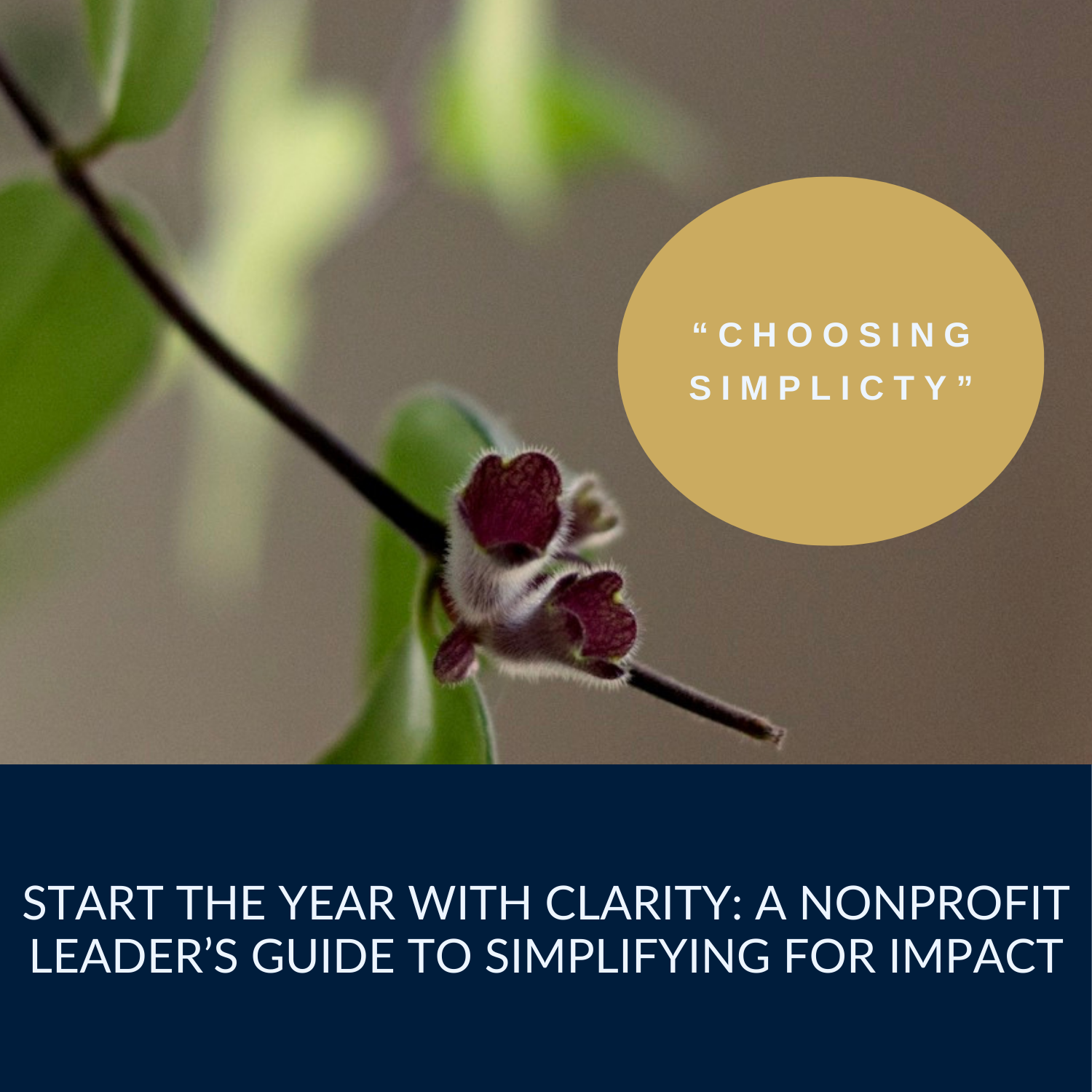 Start the Year with Clarity: A Nonprofit Leader’s Guide to Simplifying for Impact&nbsp;&nbsp;