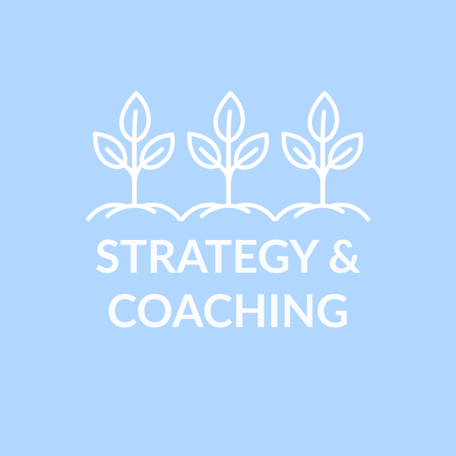 Strategy & Coaching