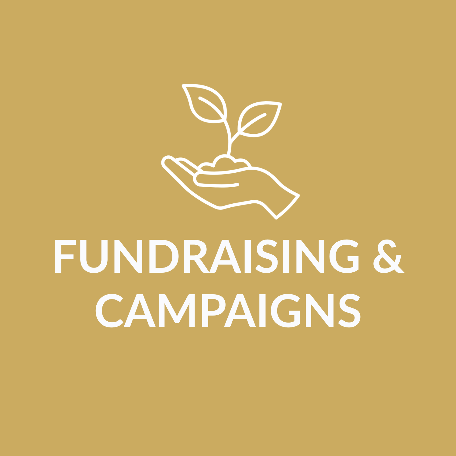 Fundraising & Campaigns