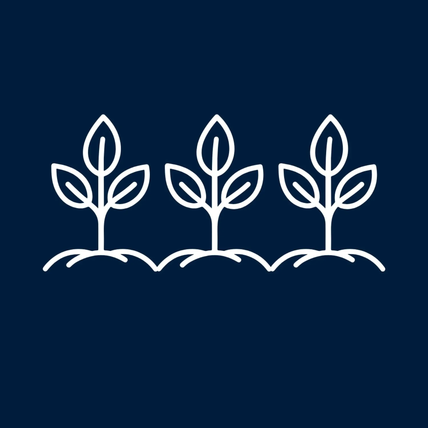 Line drawing of three sprouting plants with leaves, arranged in a row on brown soil against a dark blue background.