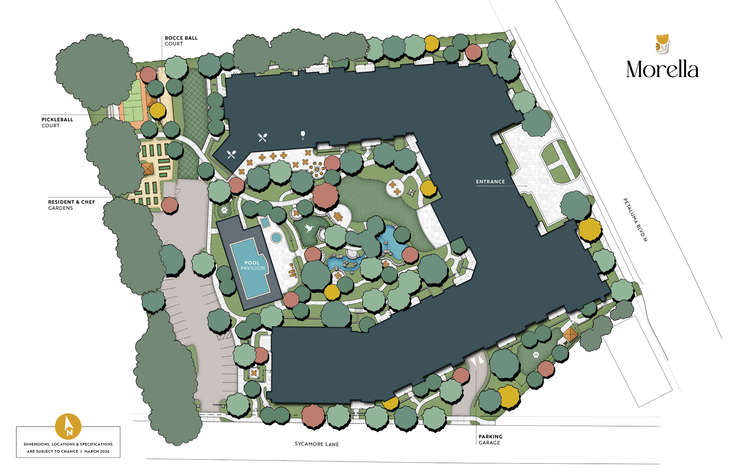 Site map of a residential community with labeled amenities including bocce ball court, pickleball court, resident & chef gardens, a pool pavilion, and parking garage. The map shows pathways, trees, and building outlines with an entrance from Petaluma Blvd N and Sycamore Lane.