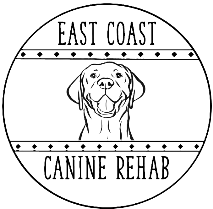 East Coast Canine Rehab