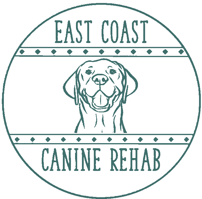 East Coast Canine Rehab