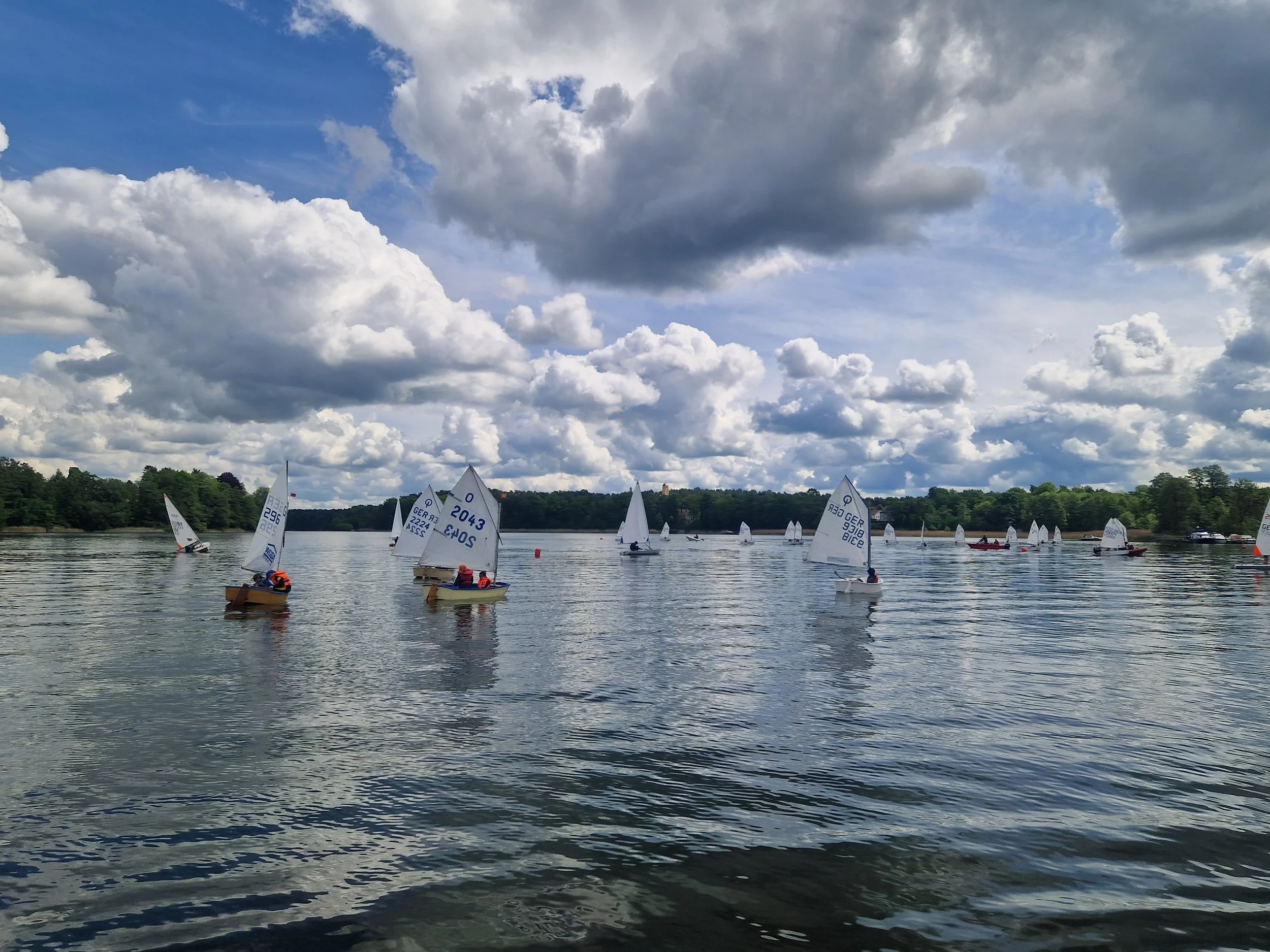 20260515_114850.jpg
