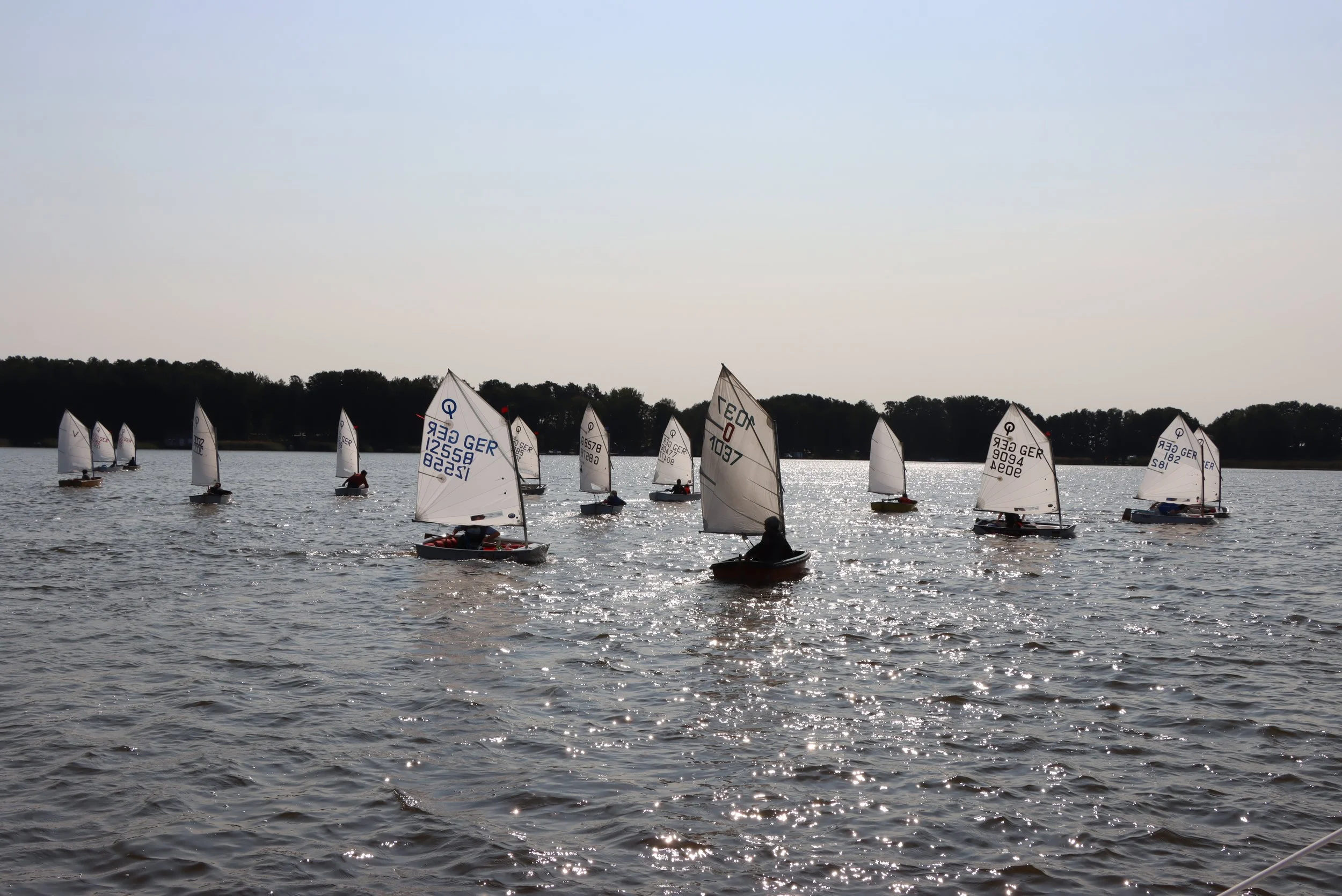 Mehrere kleine Segelboote mit weißen Segeln auf einem See bei Sonnenuntergang, im Hintergrund Bäume am Ufer.
