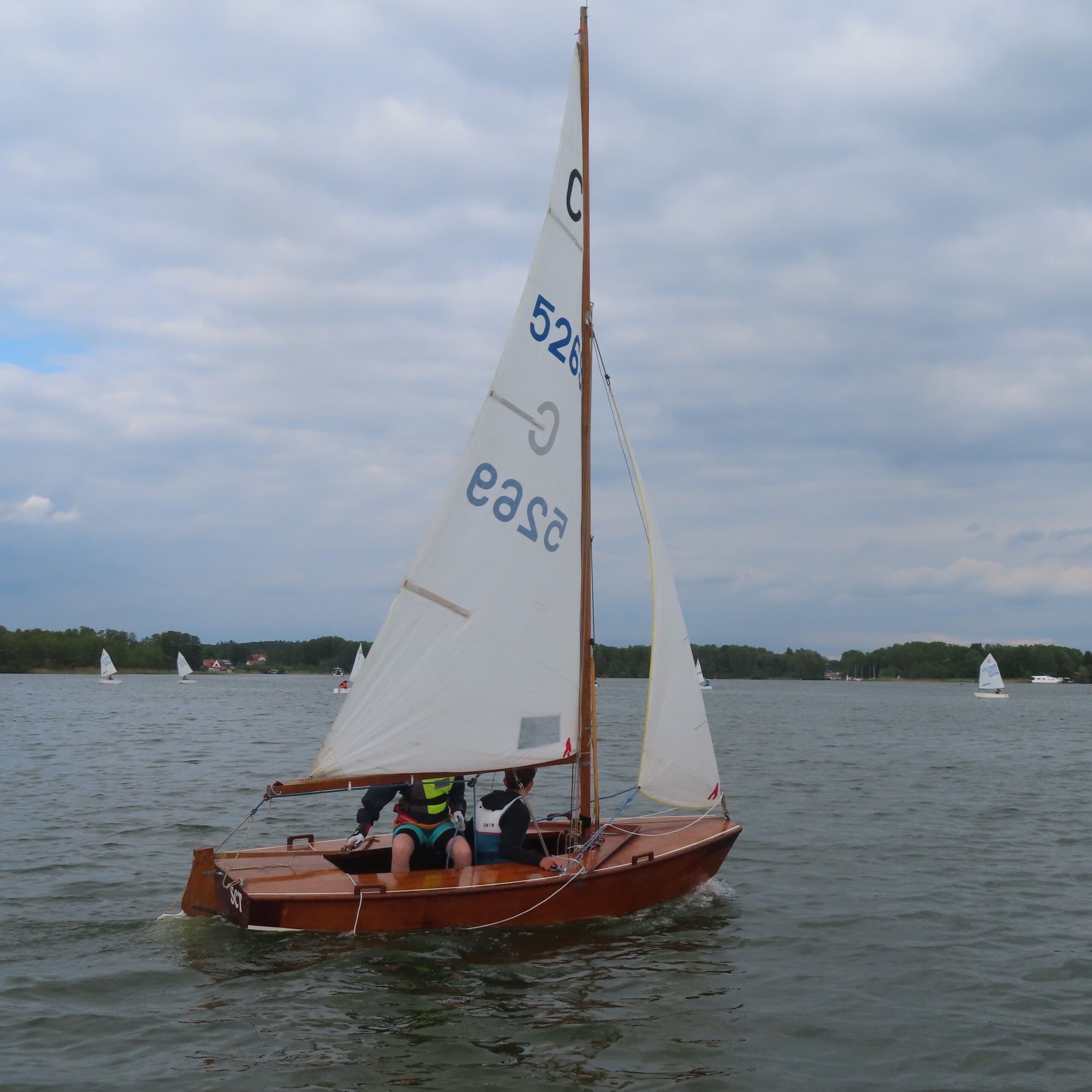 Segelboot mit Holzrumpf und weißen Segeln auf einem ruhigen See, umgeben von Bäumen und mehreren anderen Segelbooten im Hintergrund, bei bewölktem Himmel.