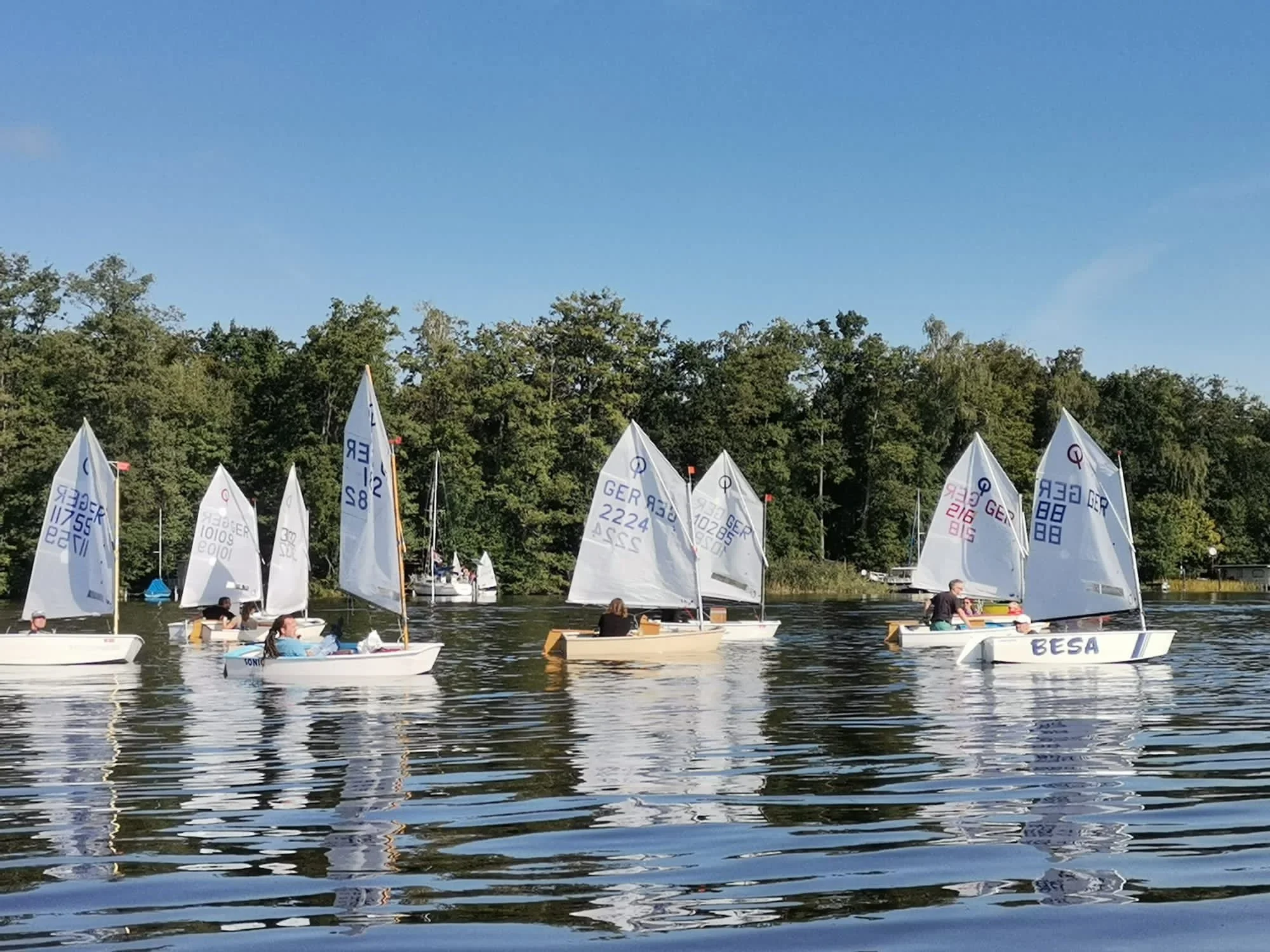 Mehrere kleine Boote mit Segeln auf einem ruhigen See, umgeben von grünen Bäumen, bei schönem Wetter.