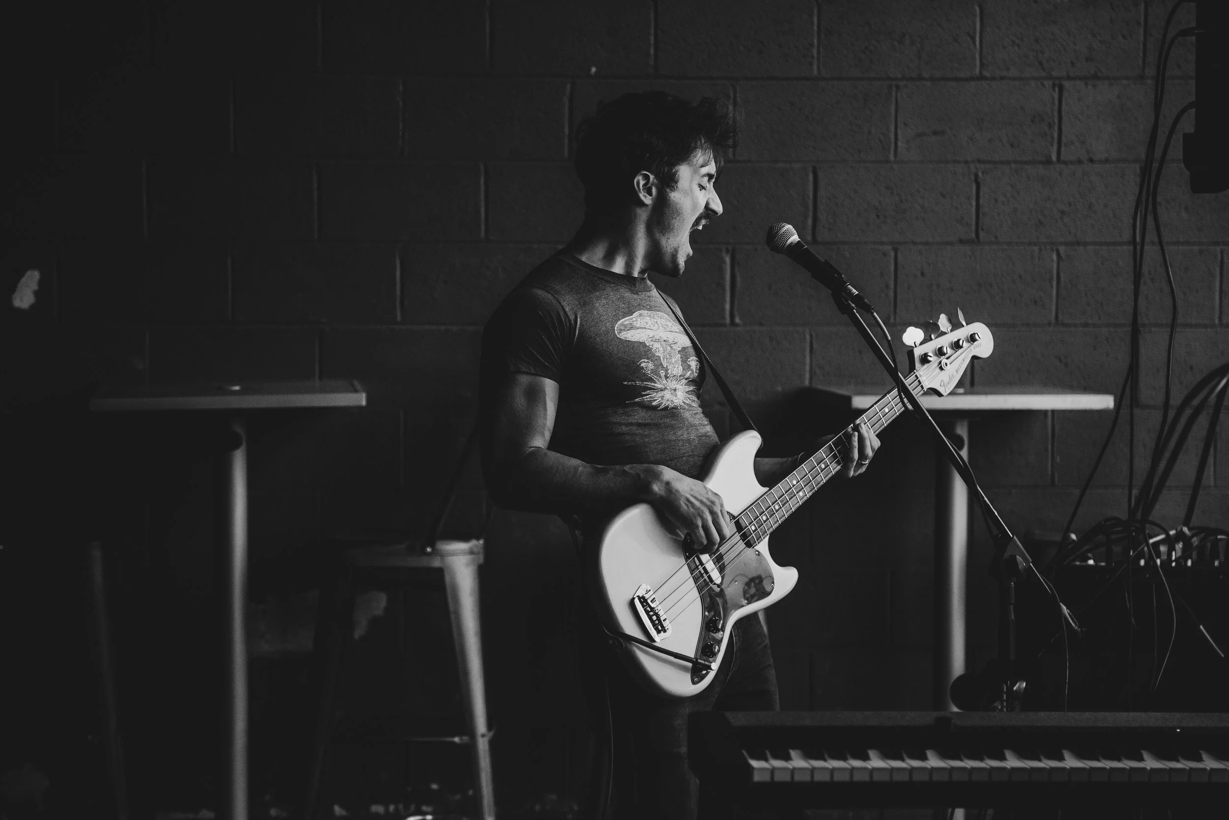 The Wildered Project