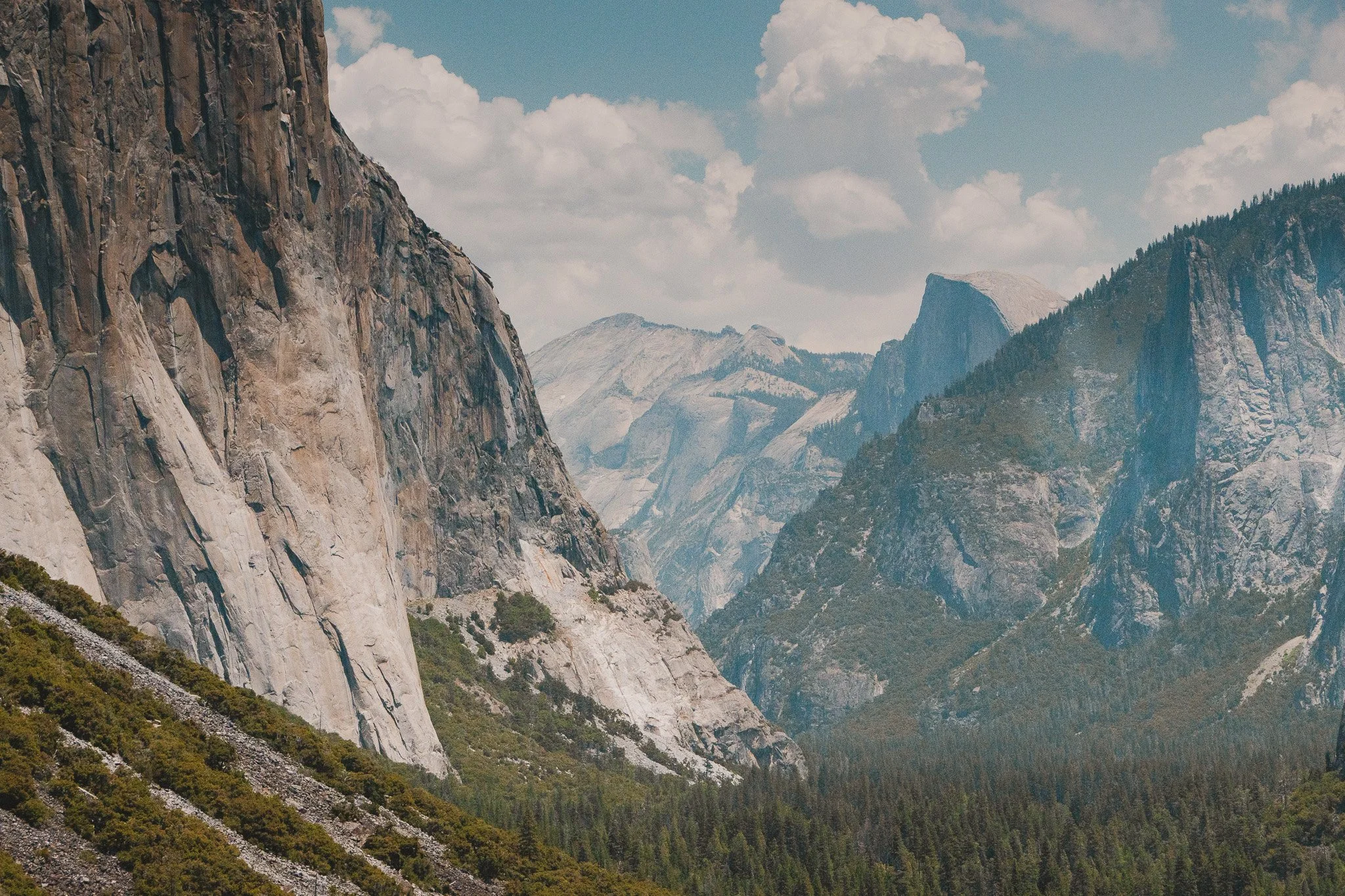 The California Project