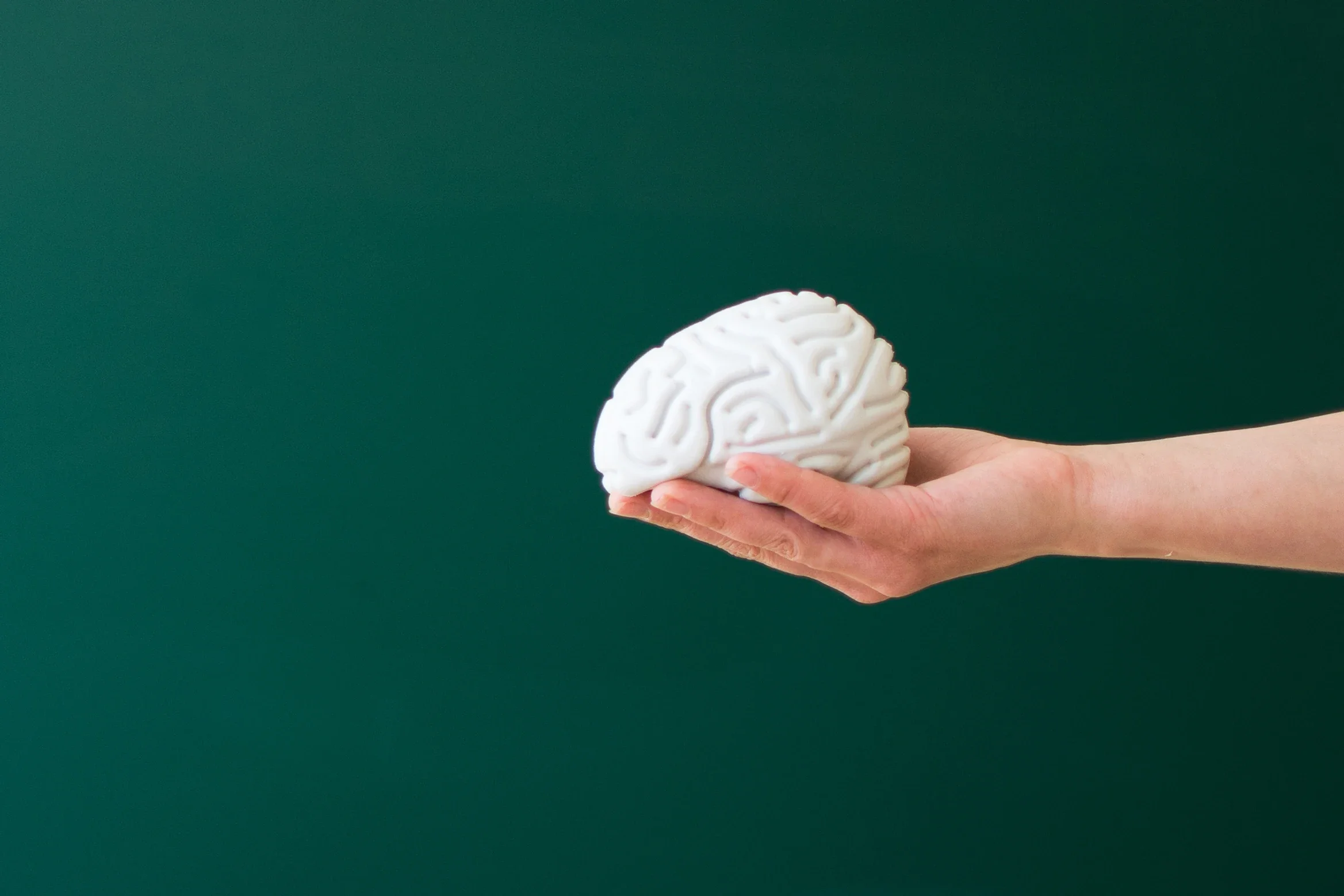 How the brain is impacted by trauma.