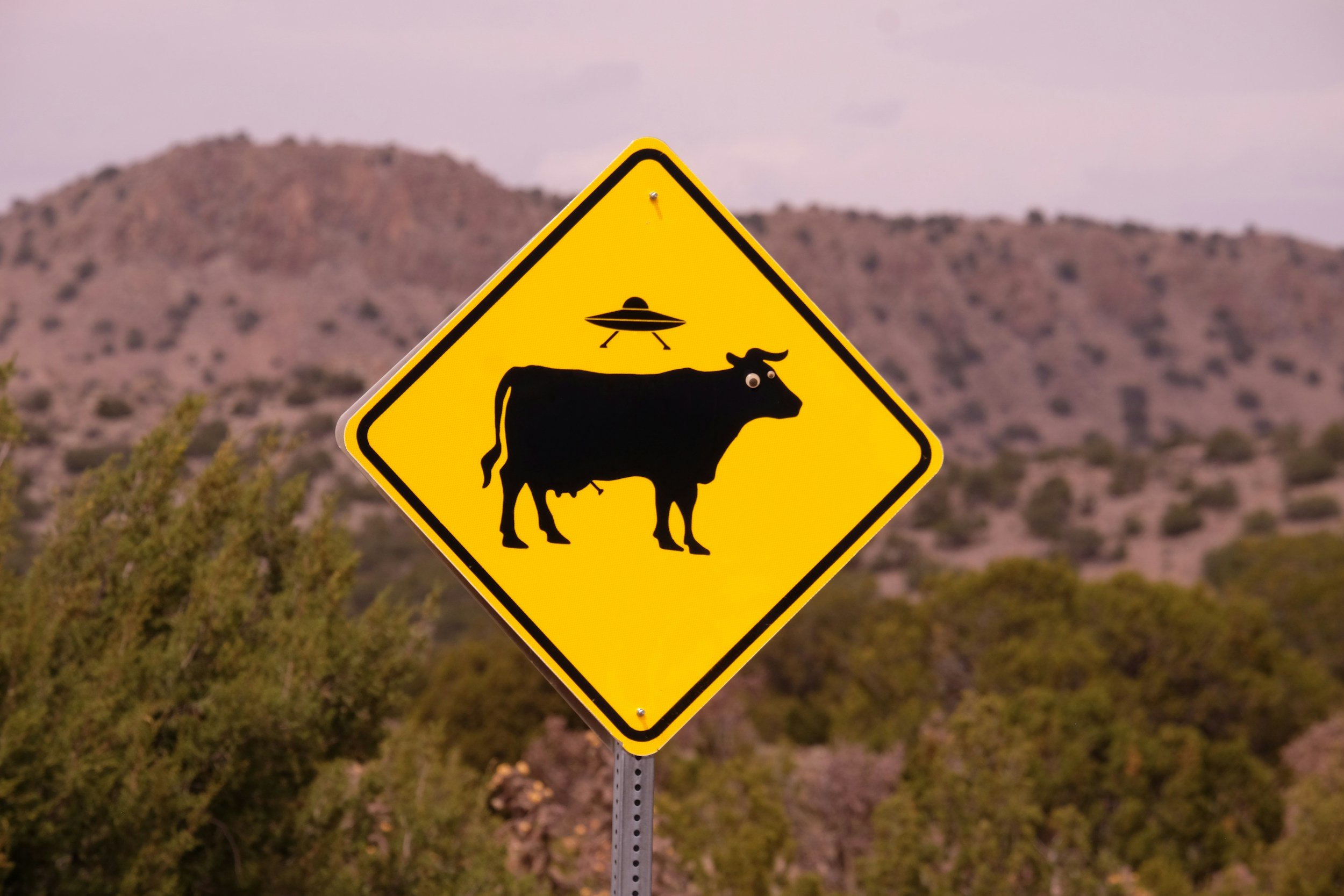 Cow Sign with UFO Above, Livestock Mutilations