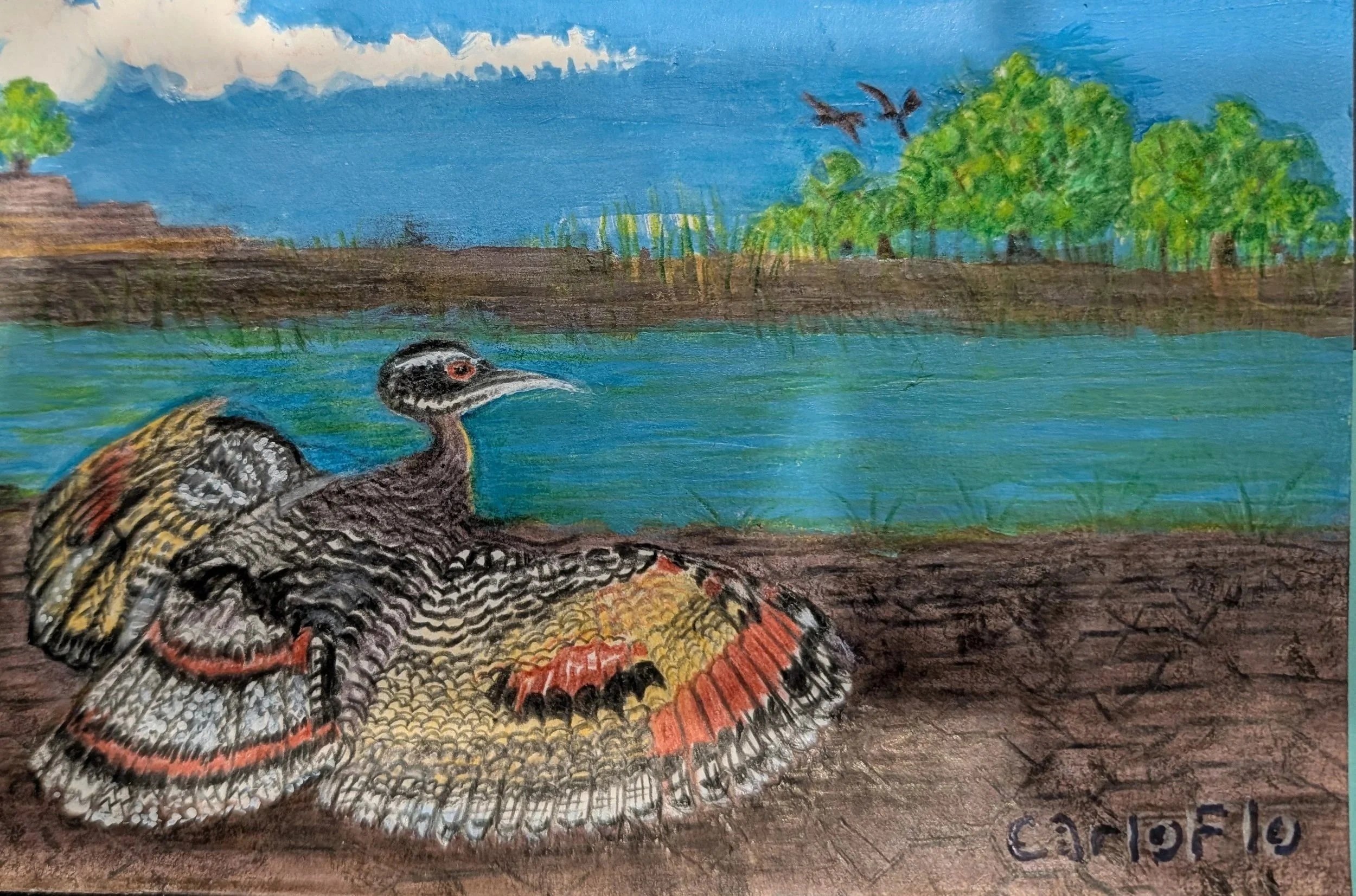 Sun Bittern in Native Habitat