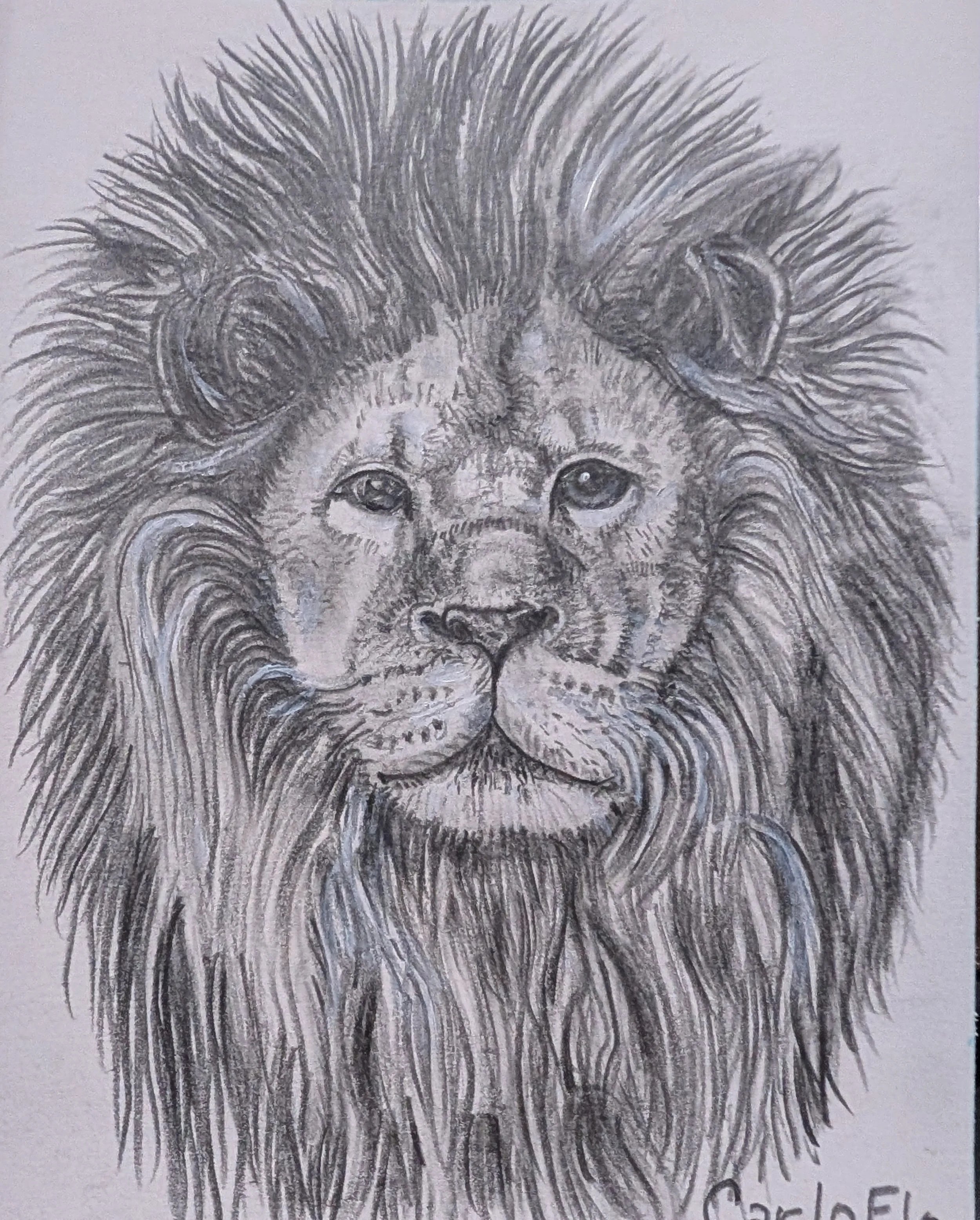Lion+Head+Pencil.jpg